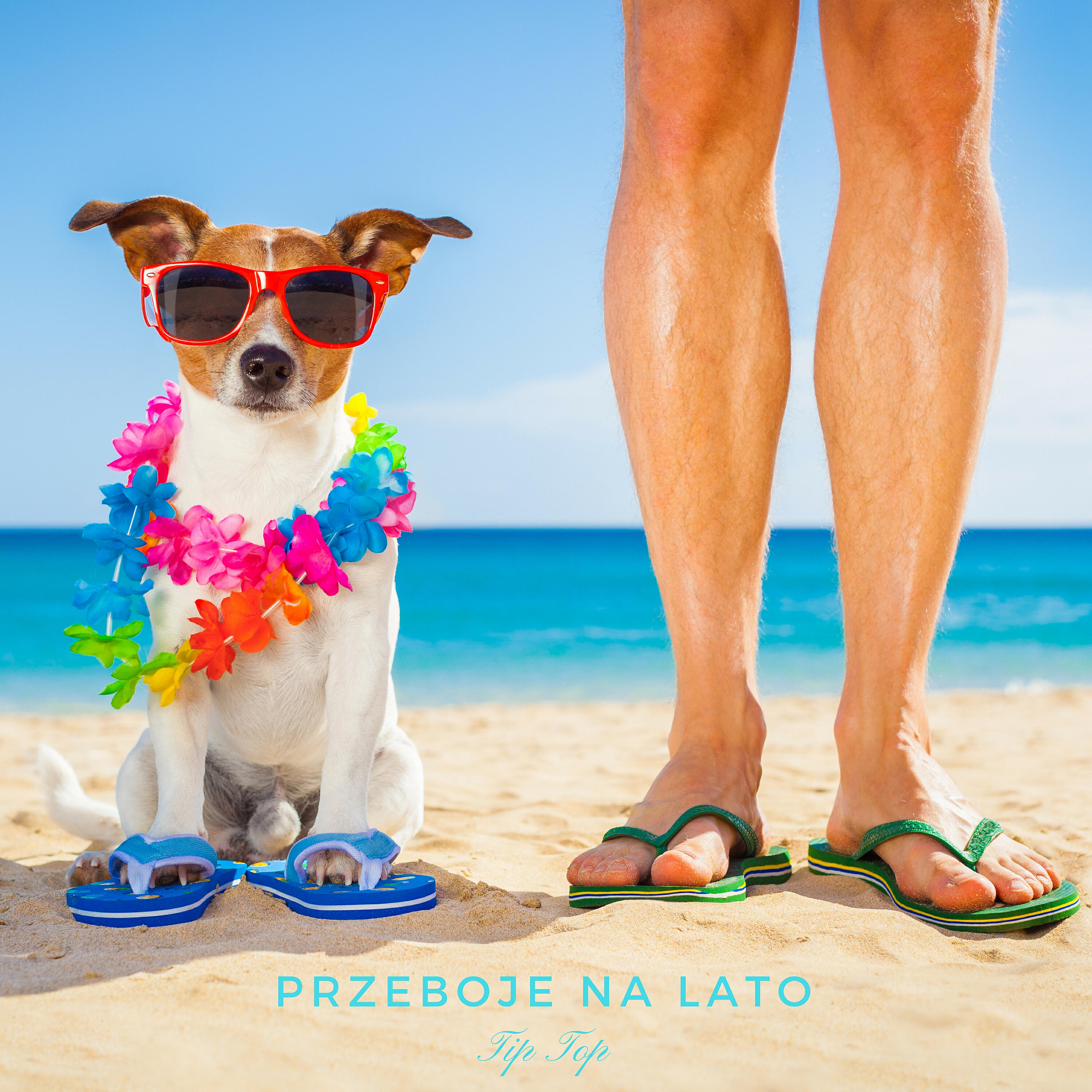 Релиз Przeboje na Lato