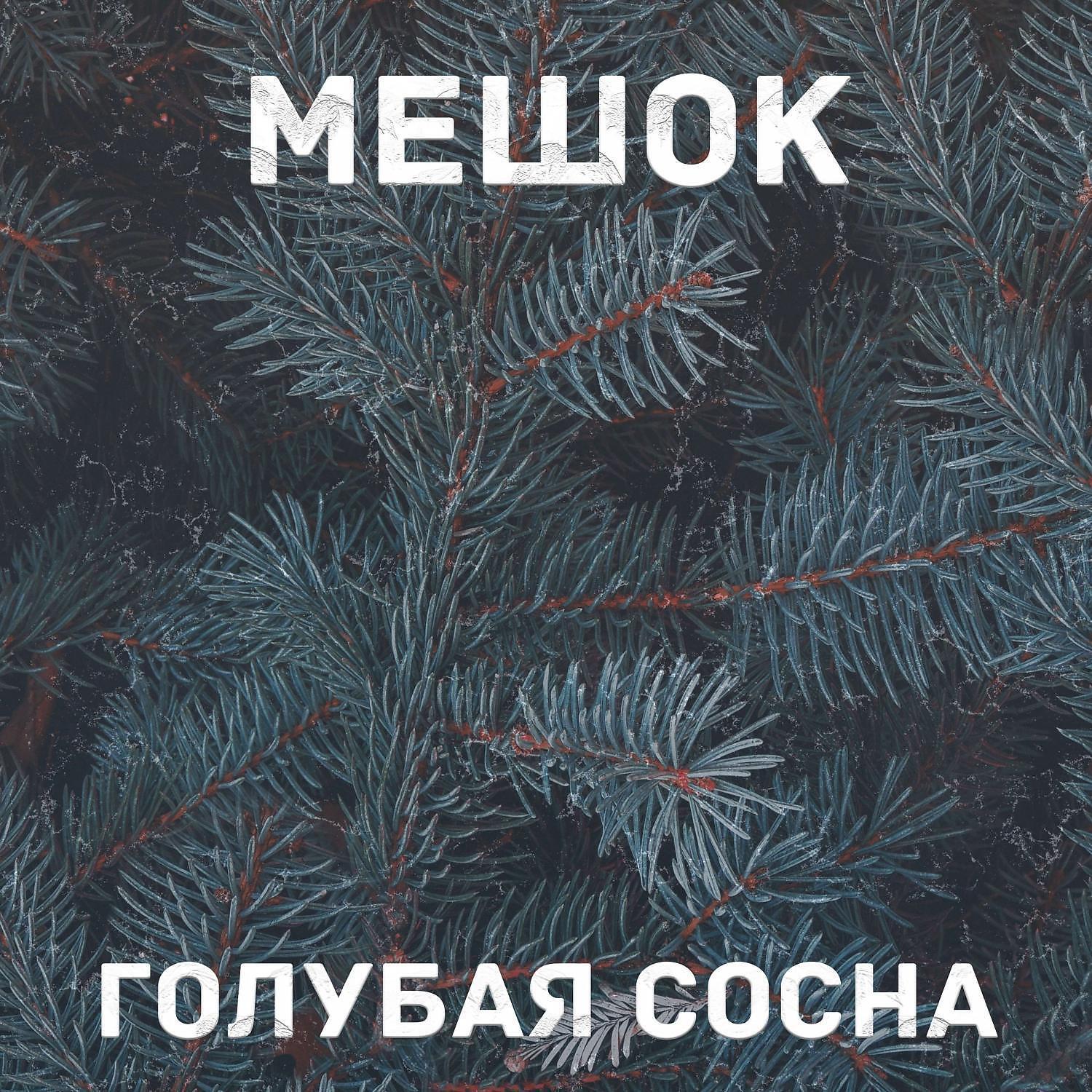 МЕШОК