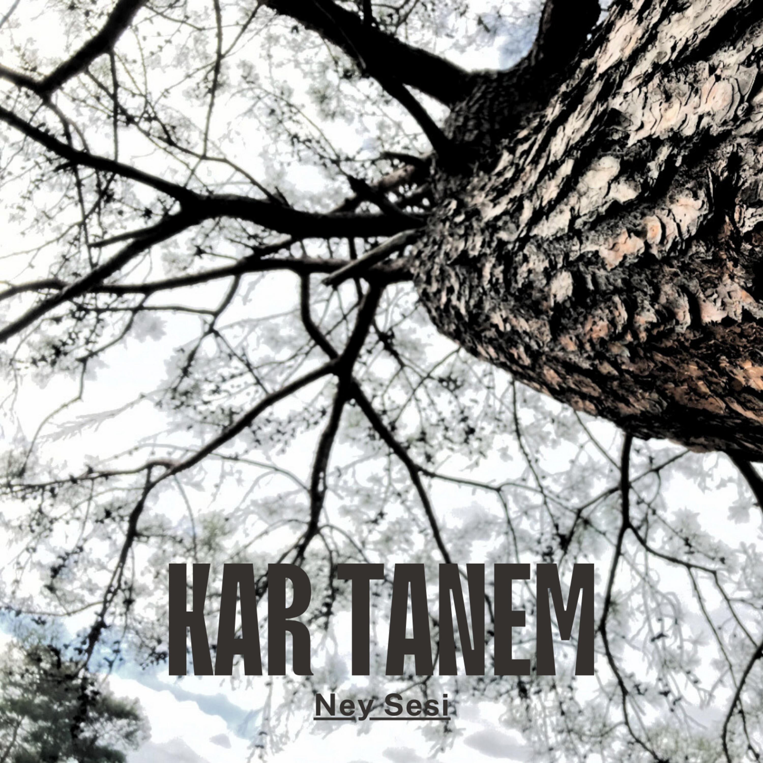 Релиз Kar Tanem