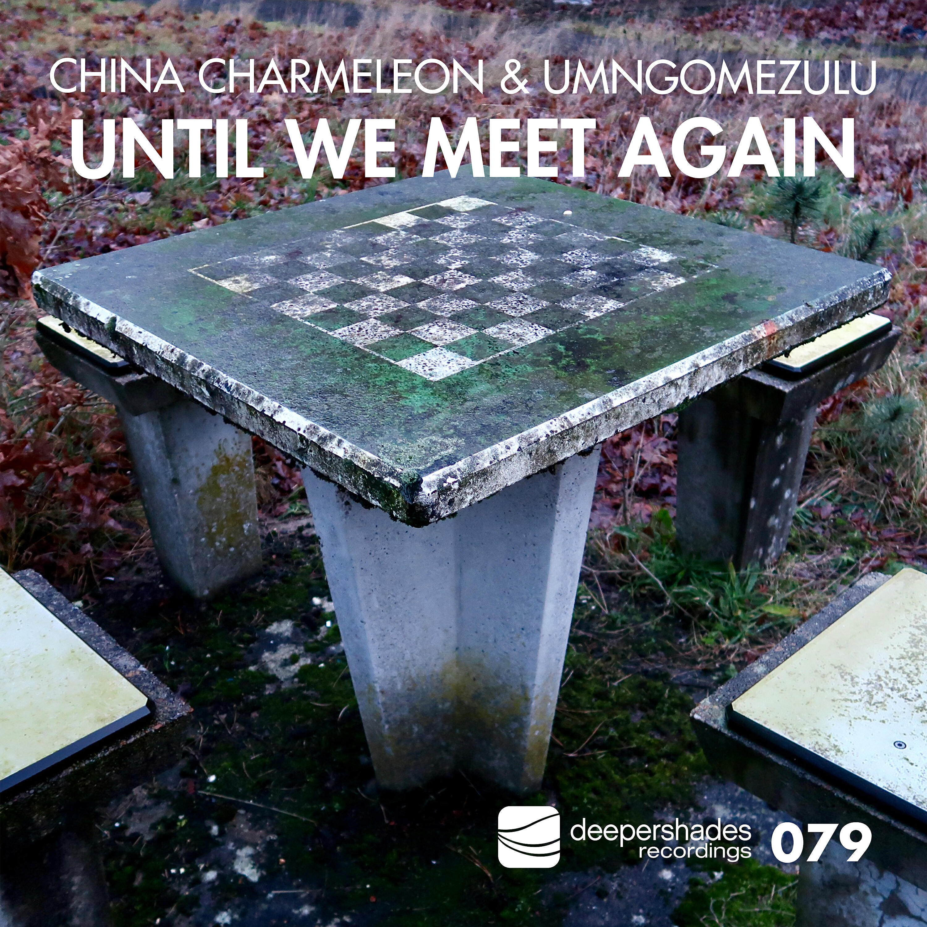 Релиз Until We Meet Again