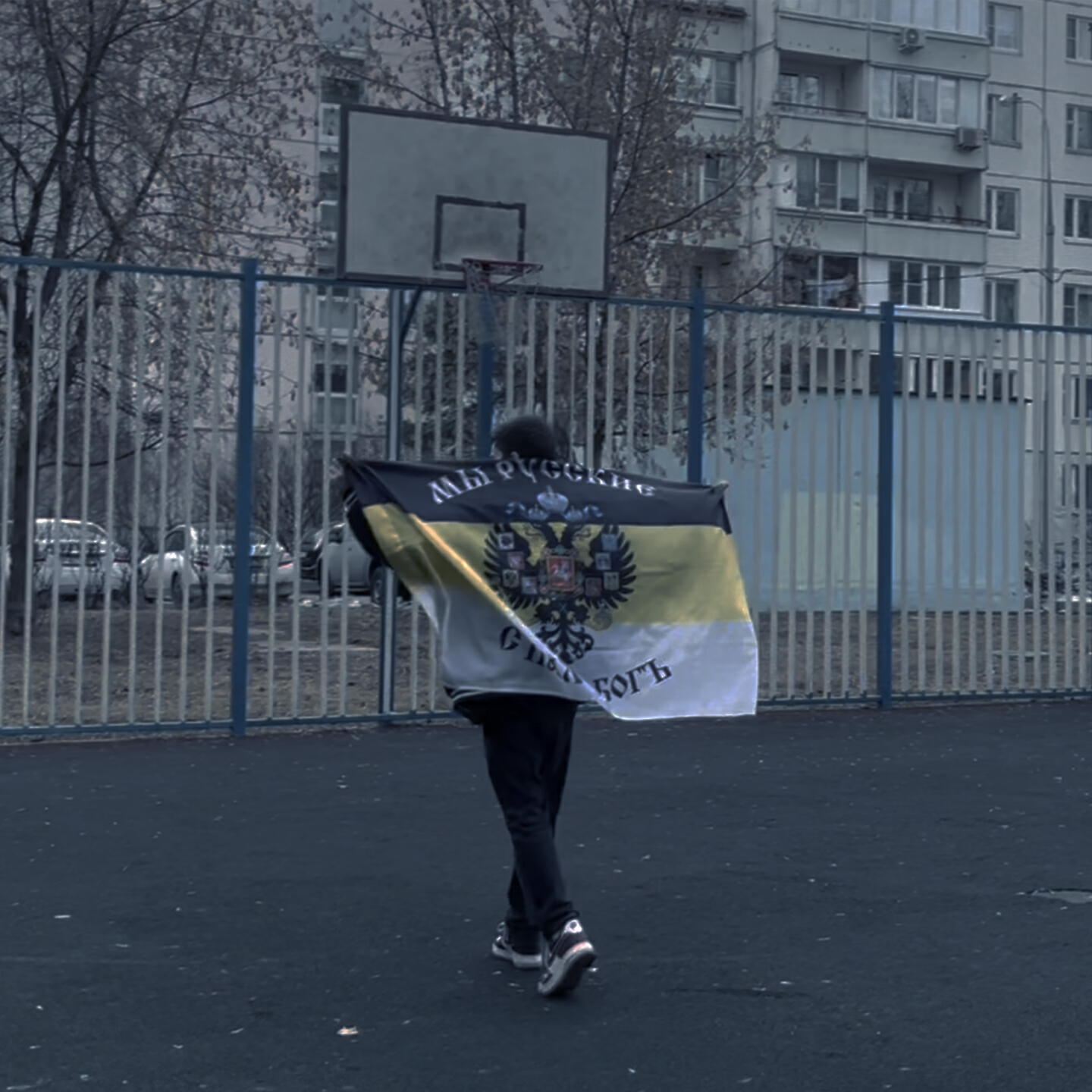 Релиз Shine