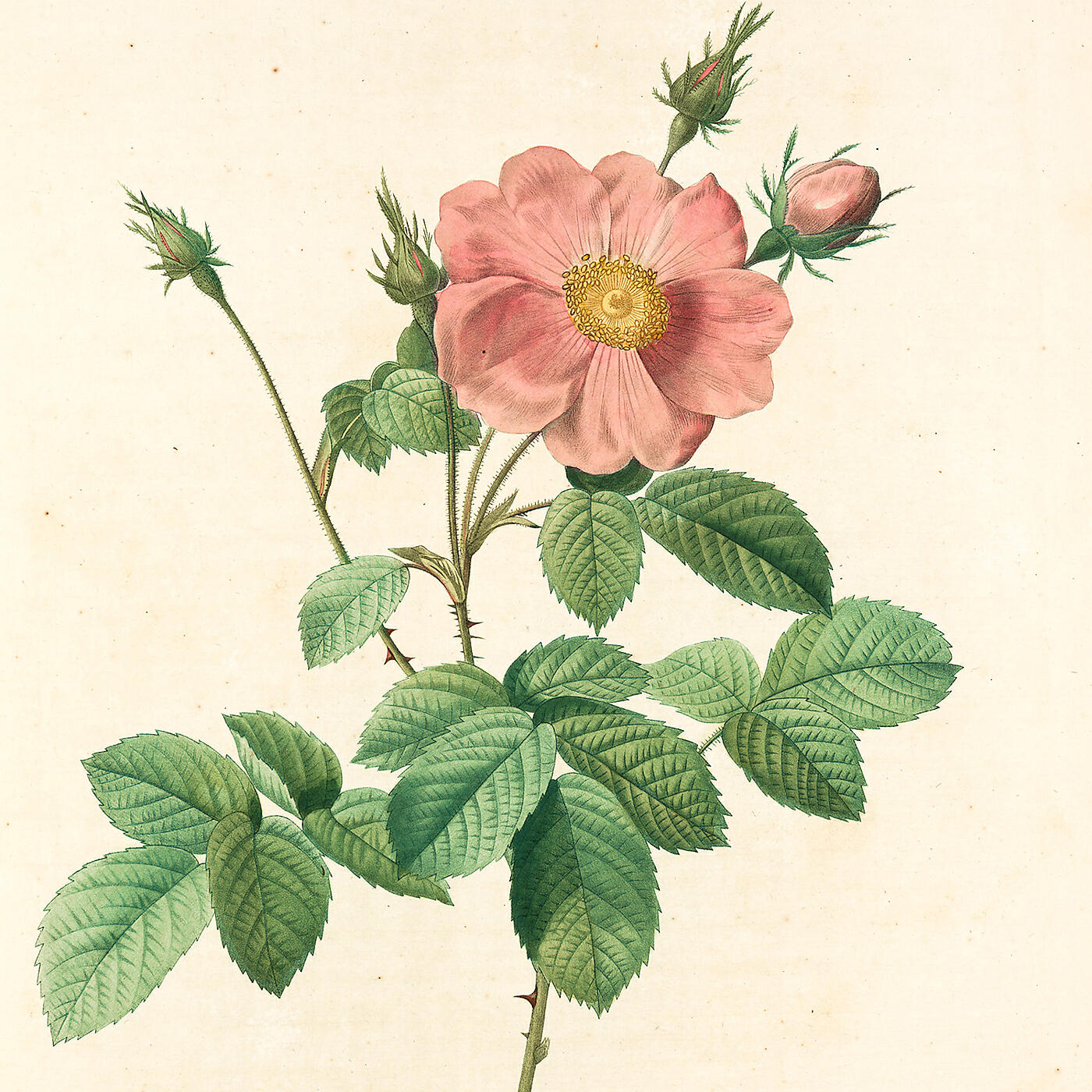 Релиз Floral Fm, Vol. 2