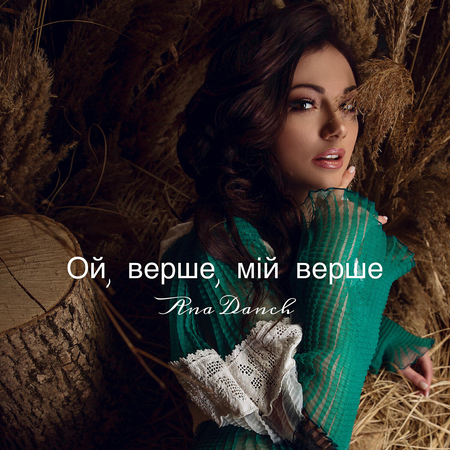 Релиз Ой, верше мій, верше