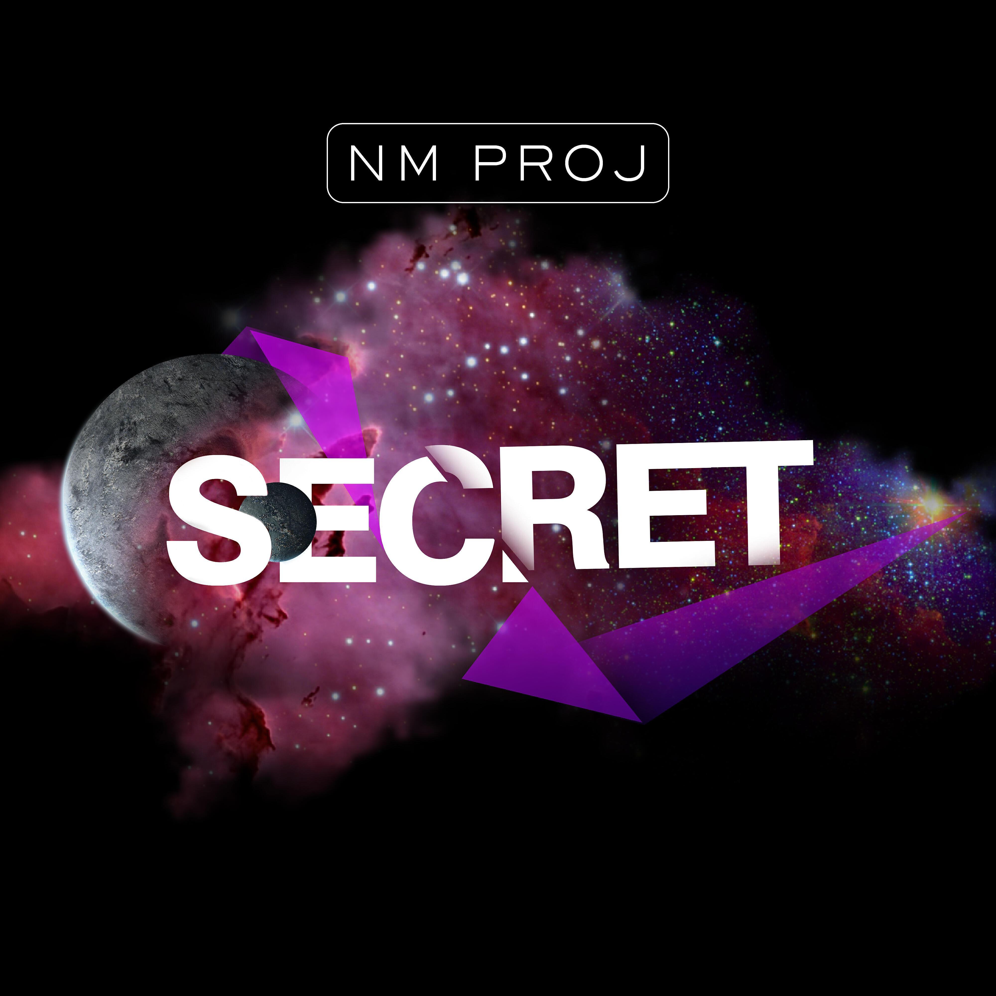 NM PROJ