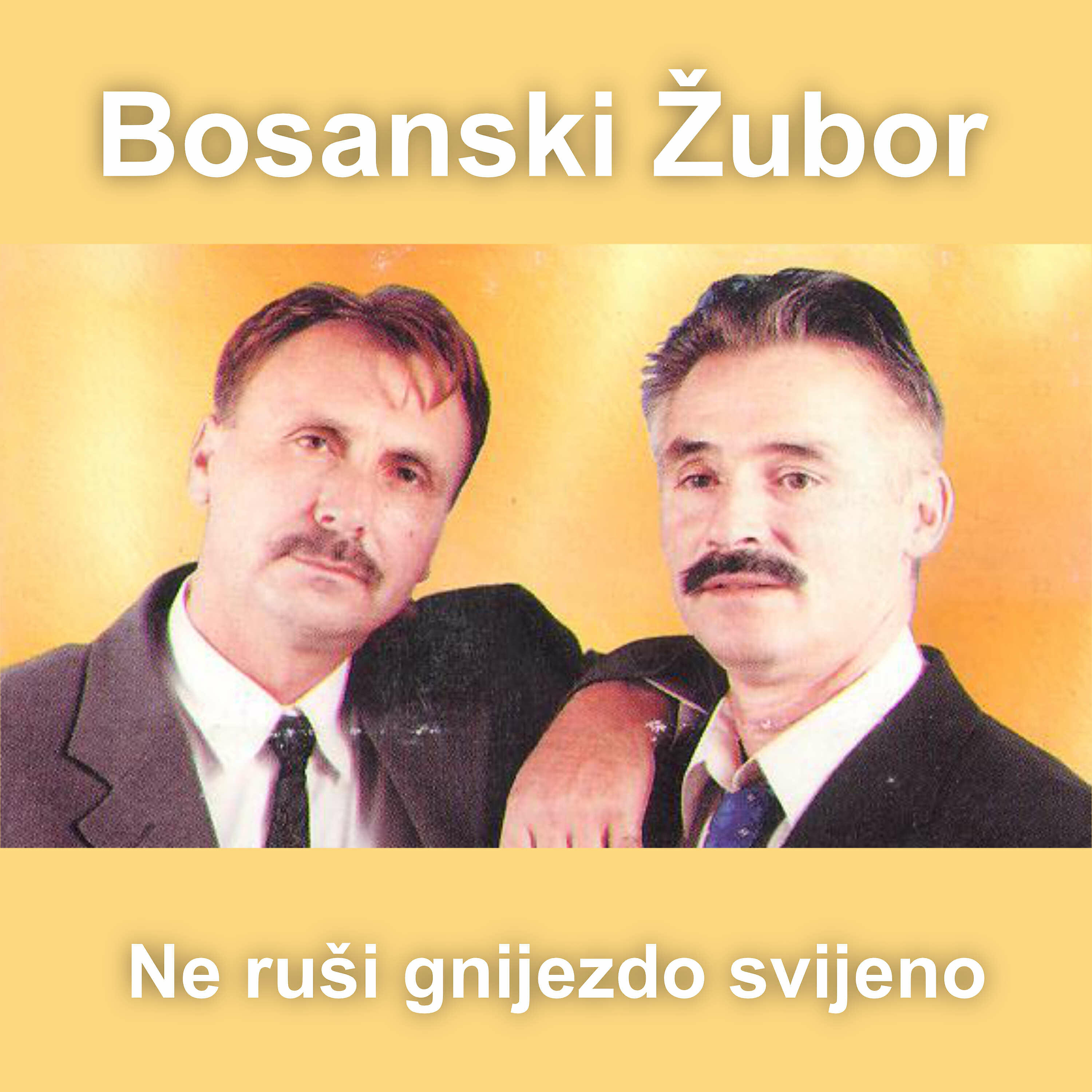 Bosanski zubor