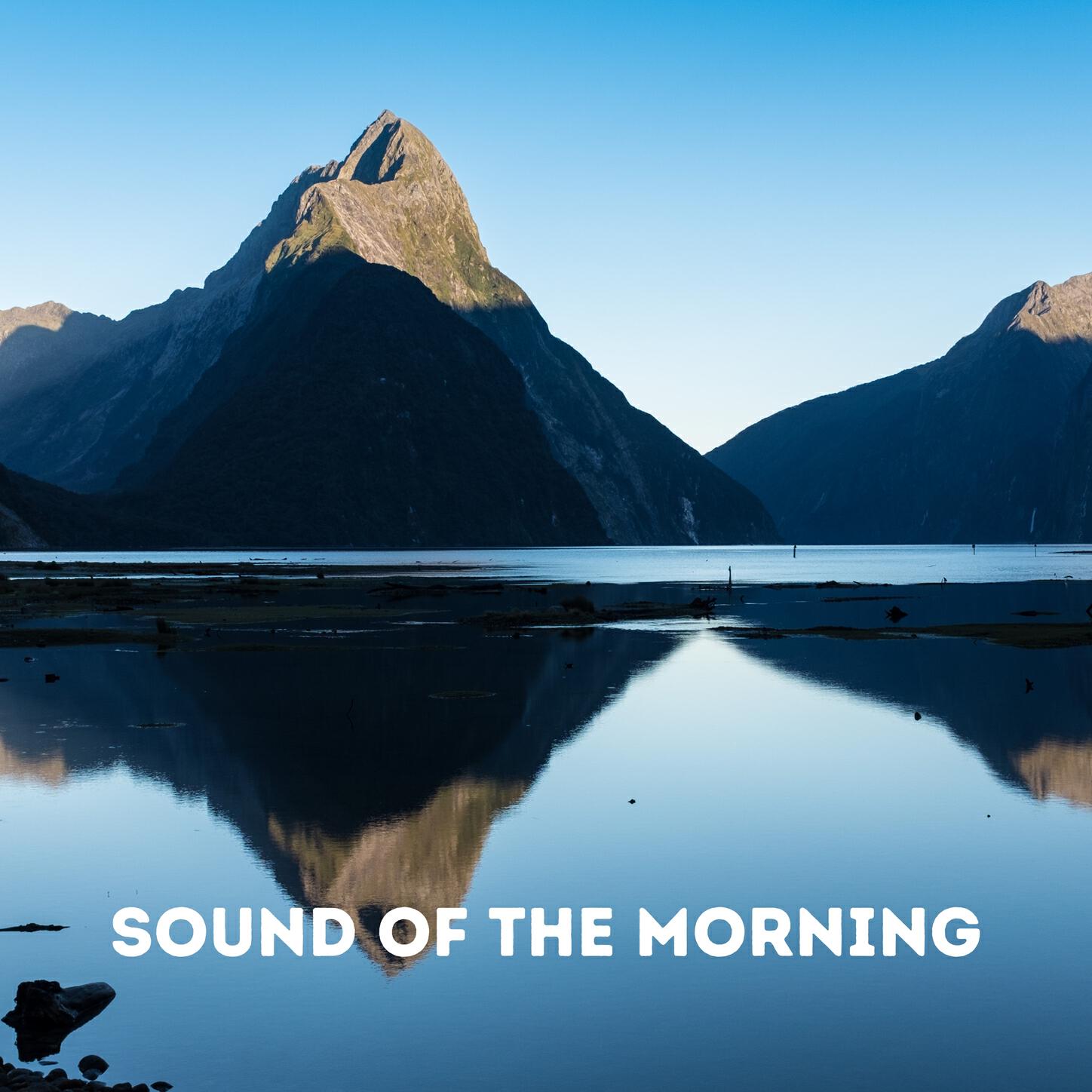 Релиз Sound of the Morning