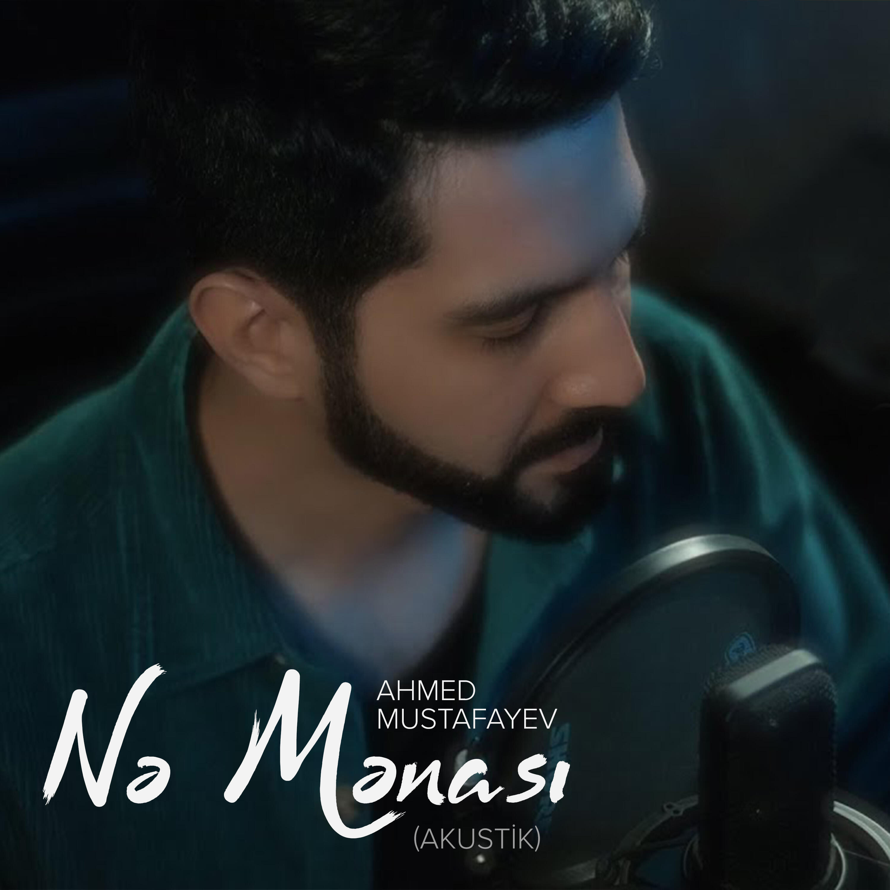 Постер альбома Nə Mənası