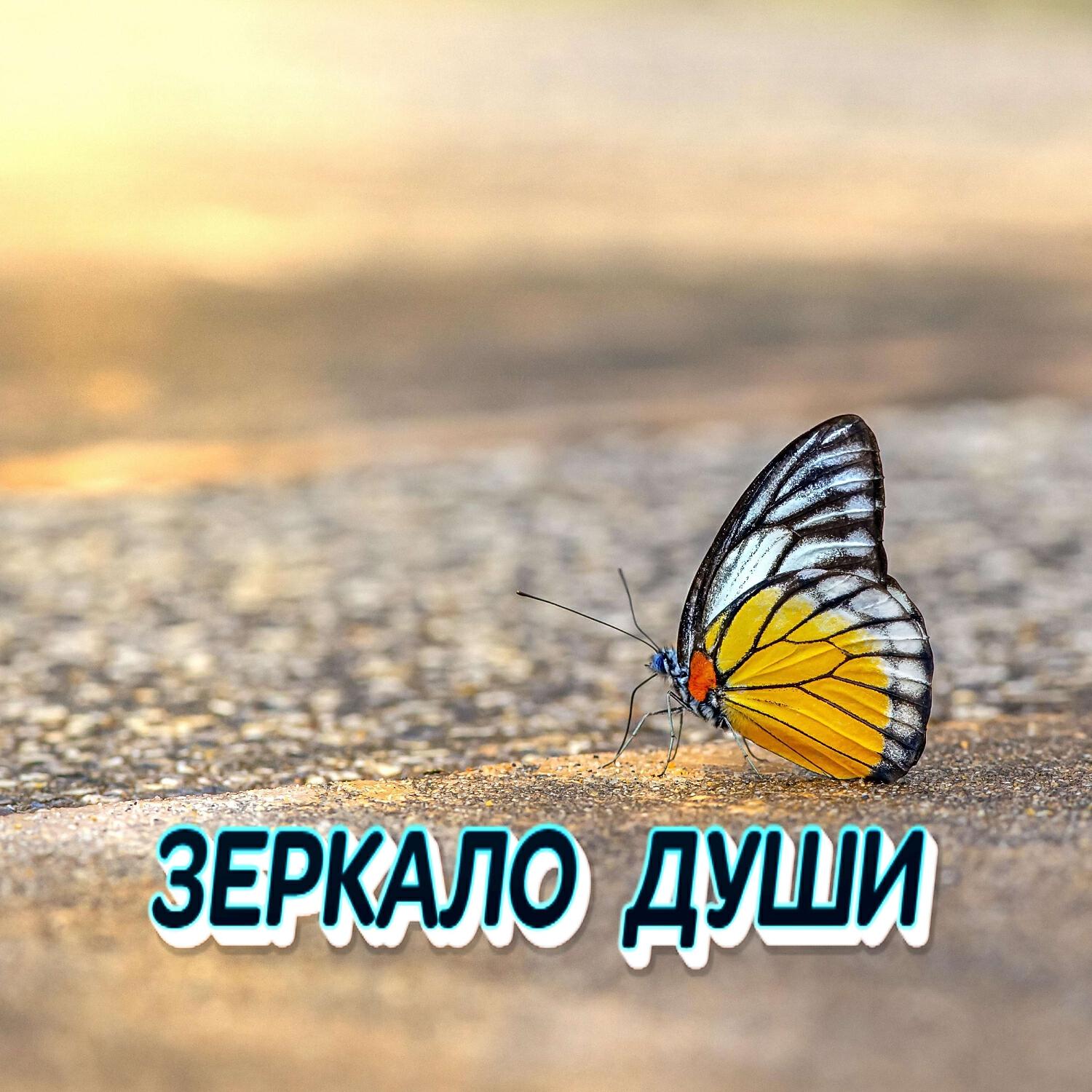 Релиз ЗЕРКАЛО ДУШИ