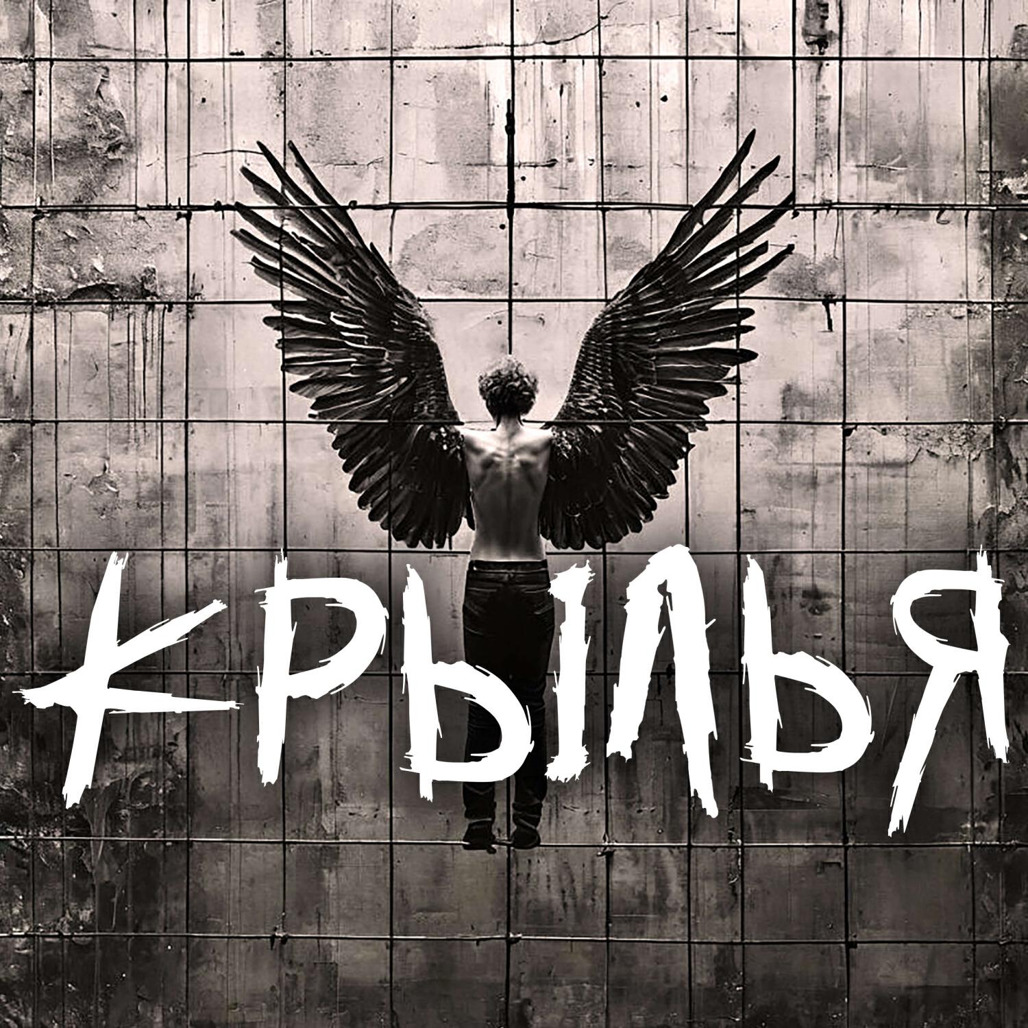 Релиз Крылья