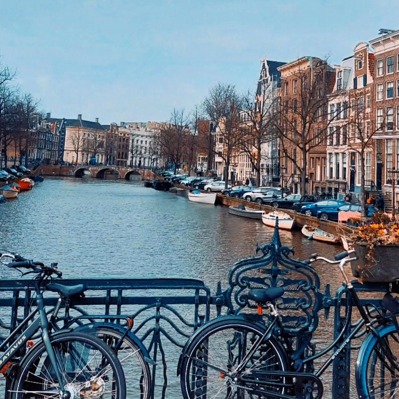 Релиз Amsterdam