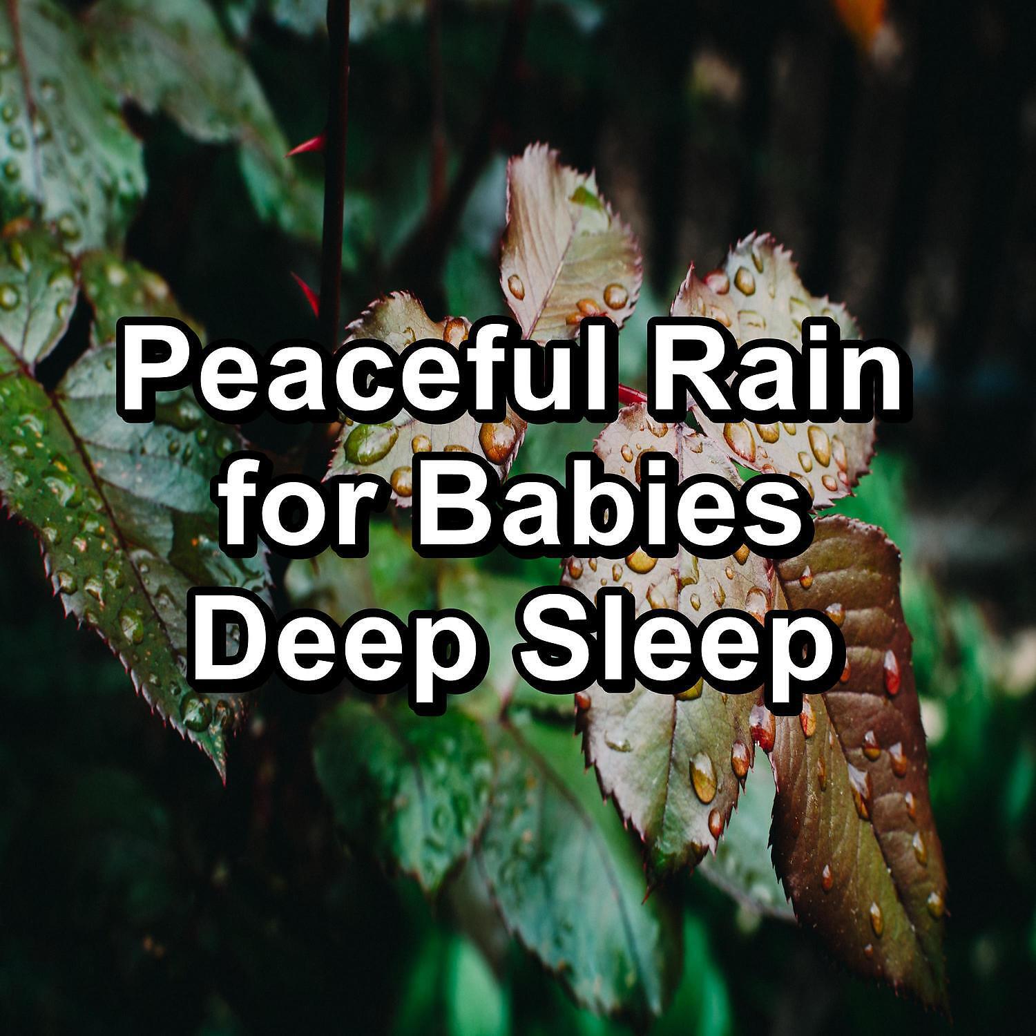 Релиз Peaceful Rain for Babies Deep Sleep
