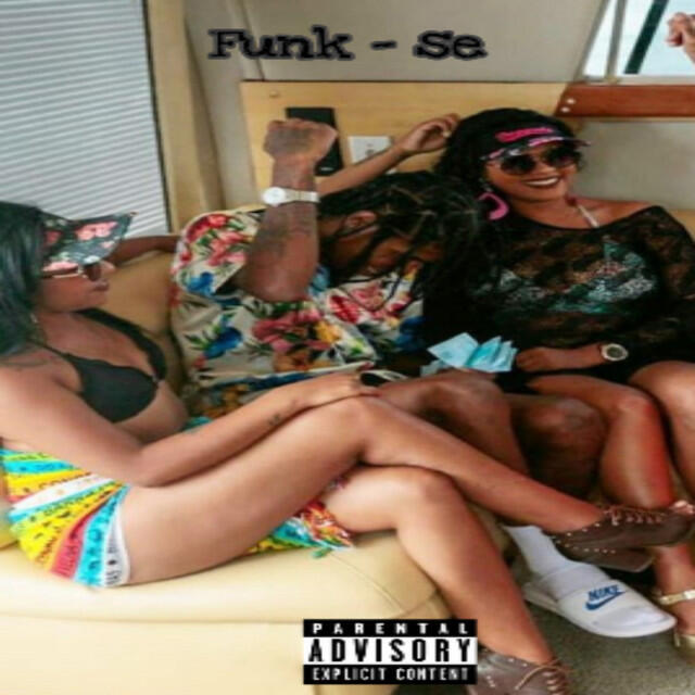 Релиз Funk-Se