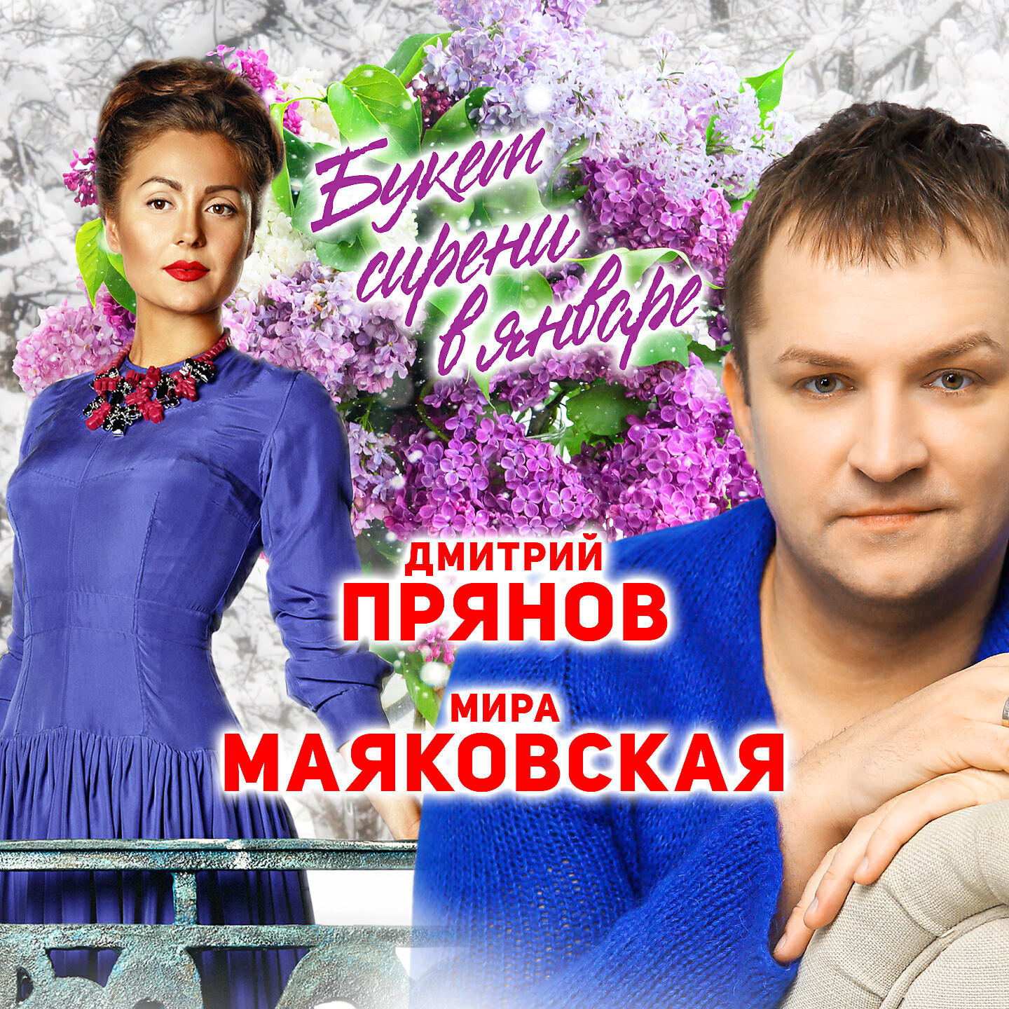 Постер альбома Букет сирени в январе
