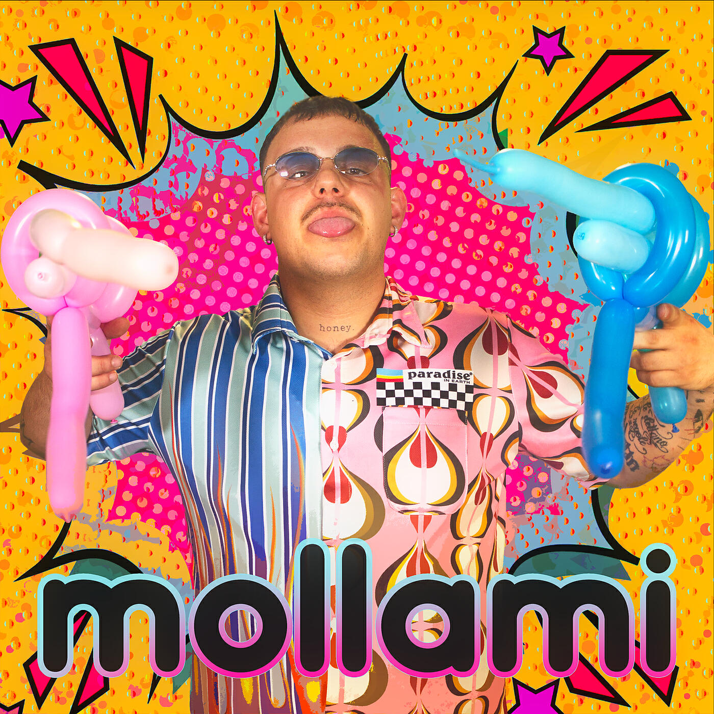 Постер альбома Mollami