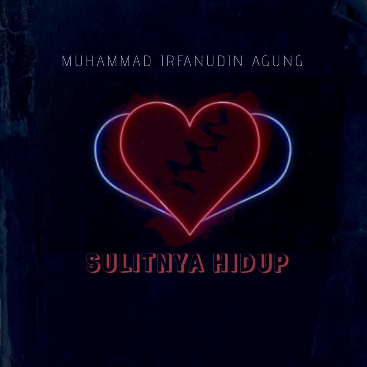 MUHAMMAD IRFANUDIN AGUNG