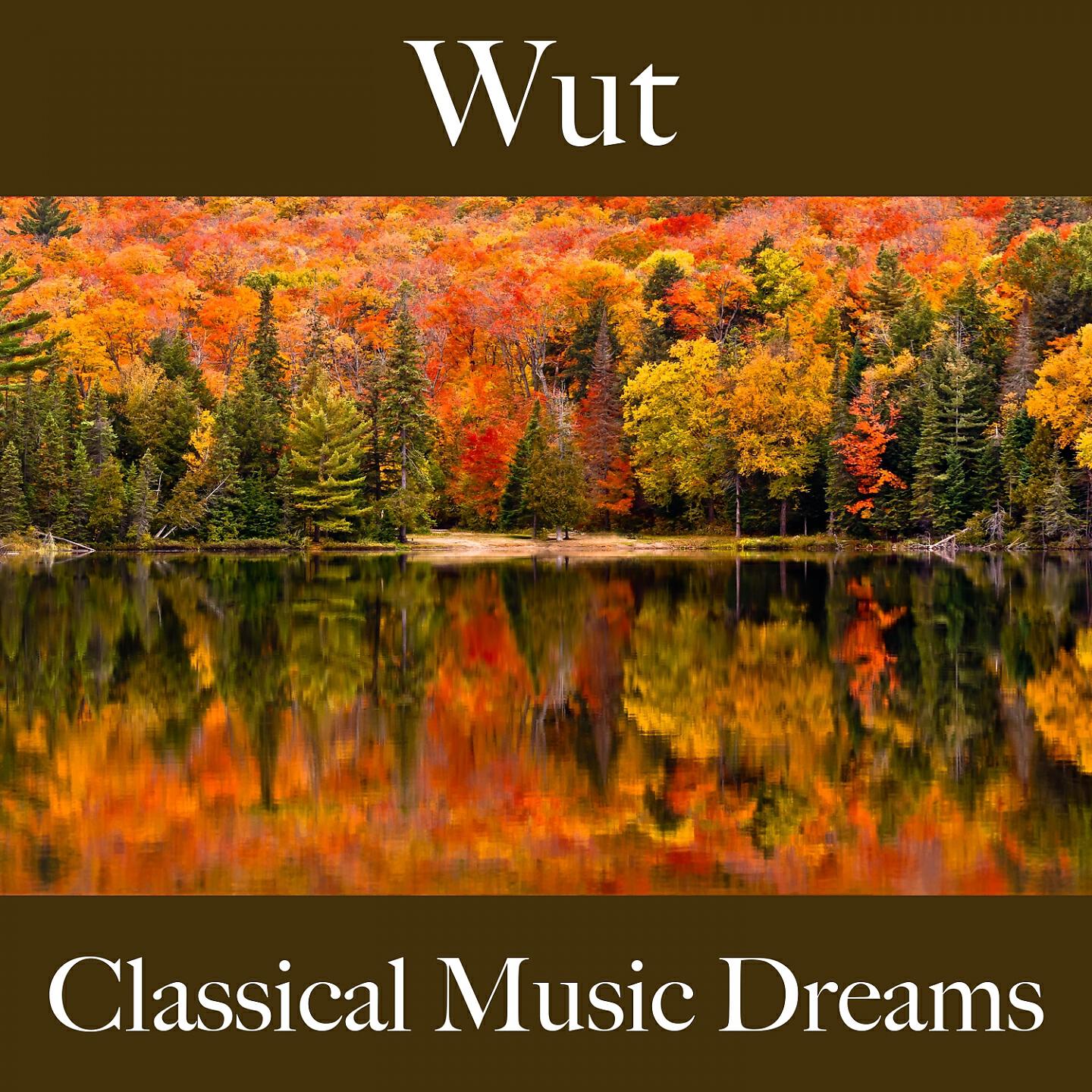 Релиз Wut: Classical Music Dreams - Die Beste Musik Um Sich Besser Zu Fühlen