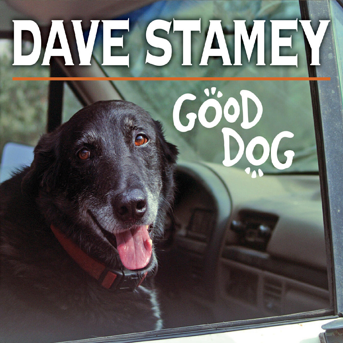 Релиз Good Dog
