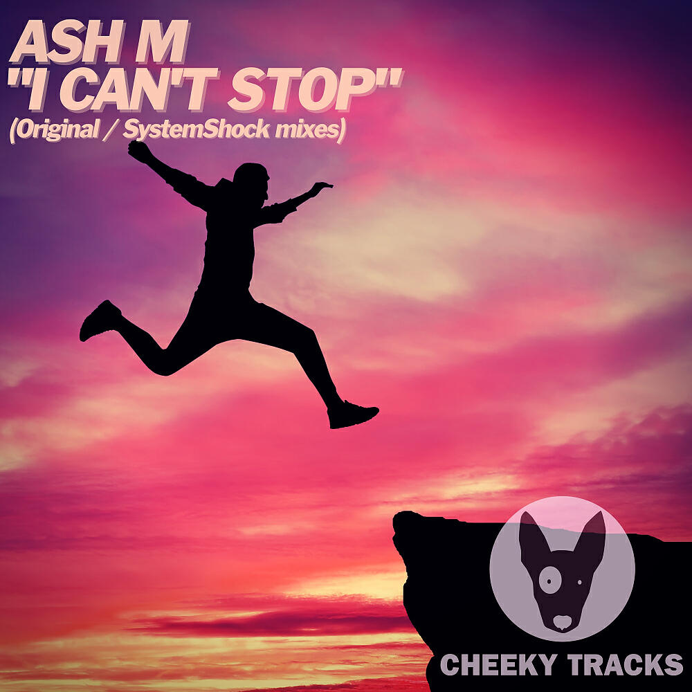 Постер альбома I Can't Stop