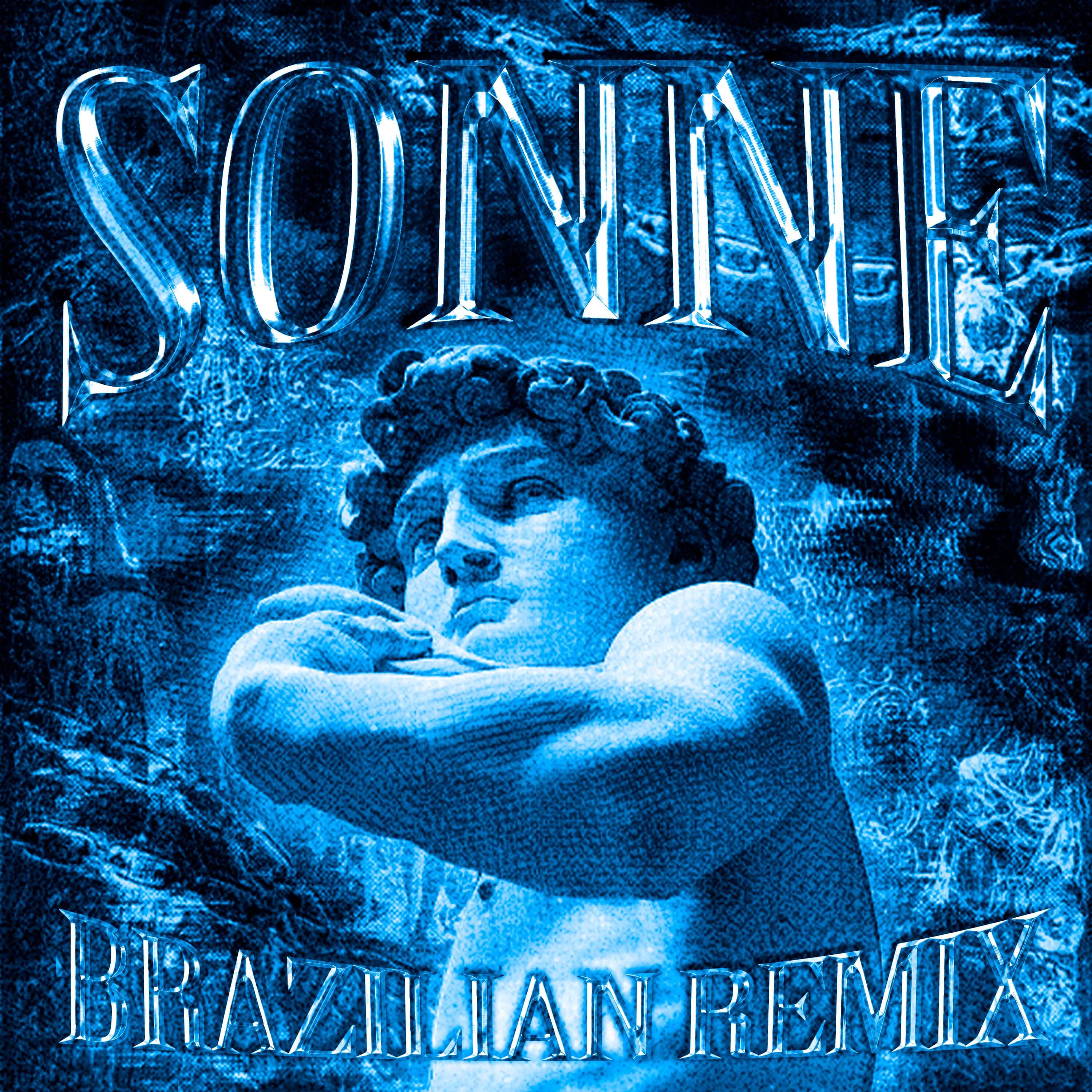 Релиз SONNE (Brazilian Remix)