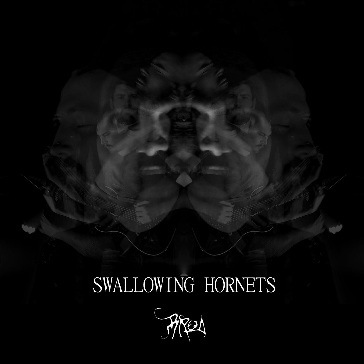 Постер альбома Swallowing Hornets
