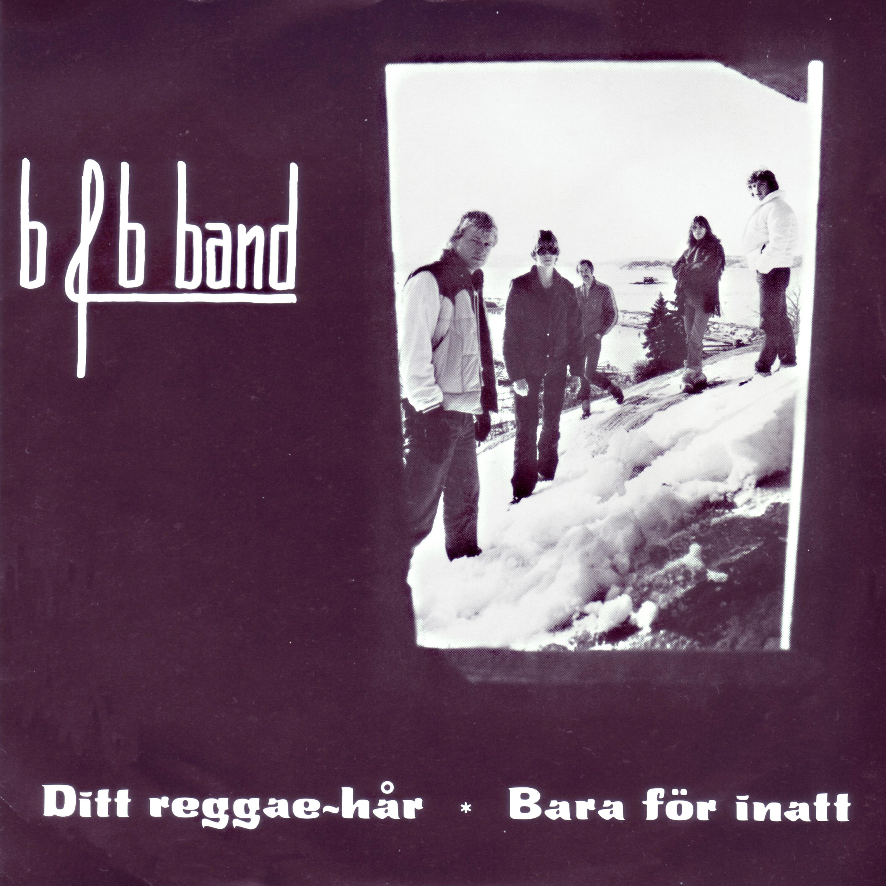 Релиз B & B Band