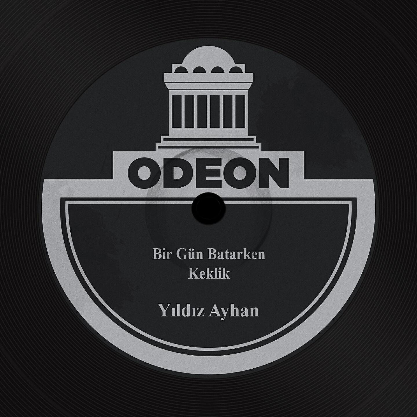 Yildiz Ayhan