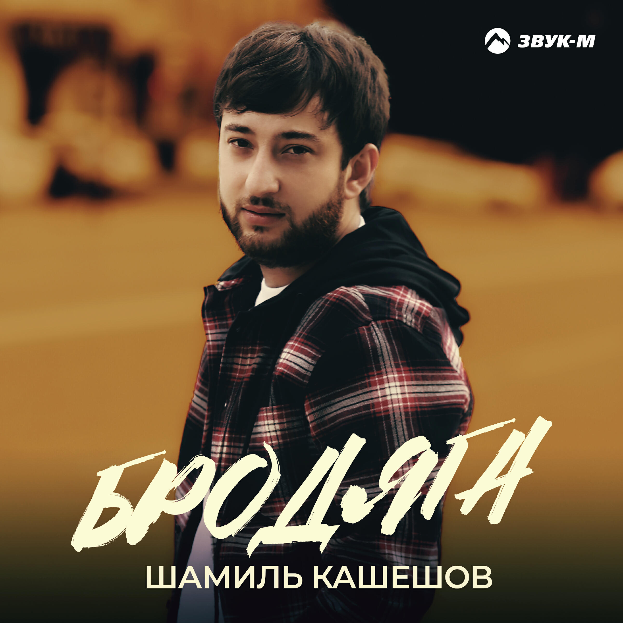 Релиз Бродяга