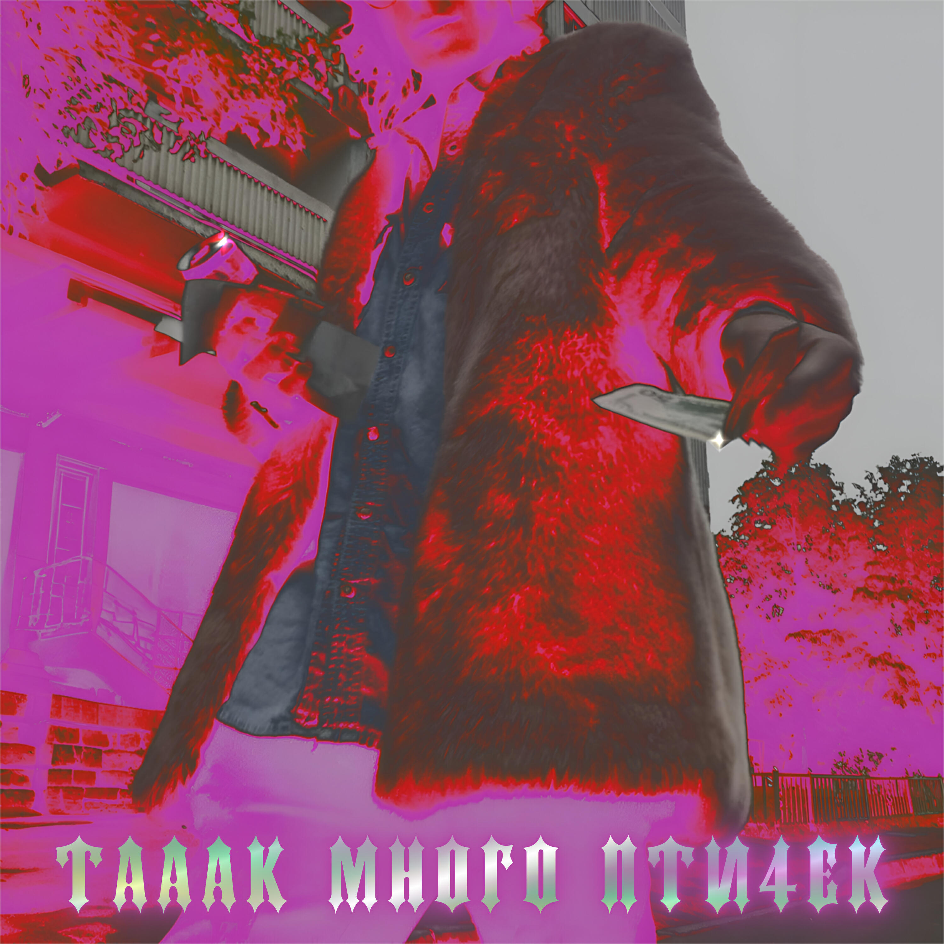 Постер альбома ТАААК МНОГО ПТИ4ЕК