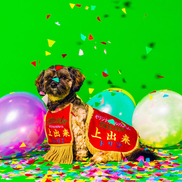 Релиз 上出来