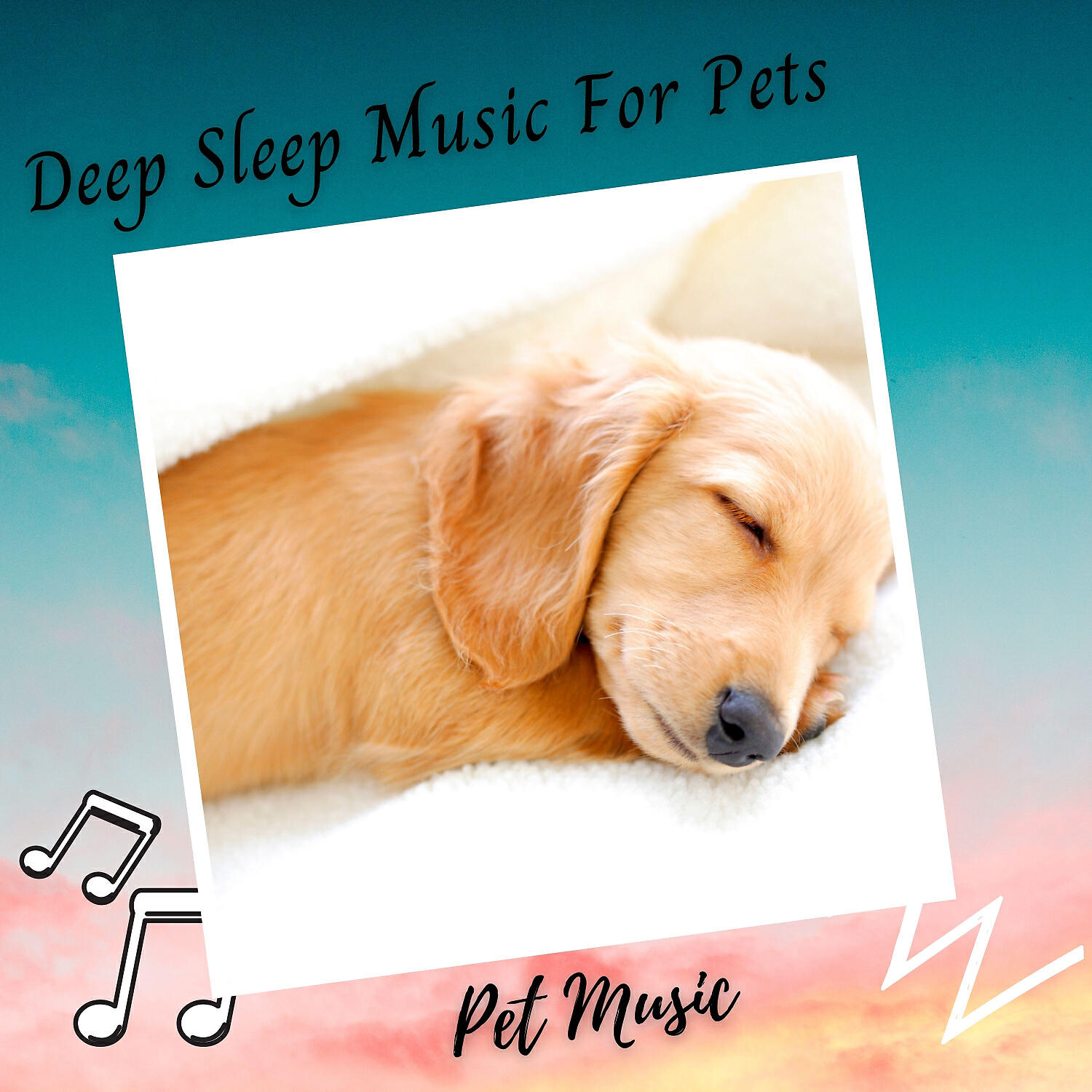 Релиз Pet Music: Deep Sleep Music For Pets