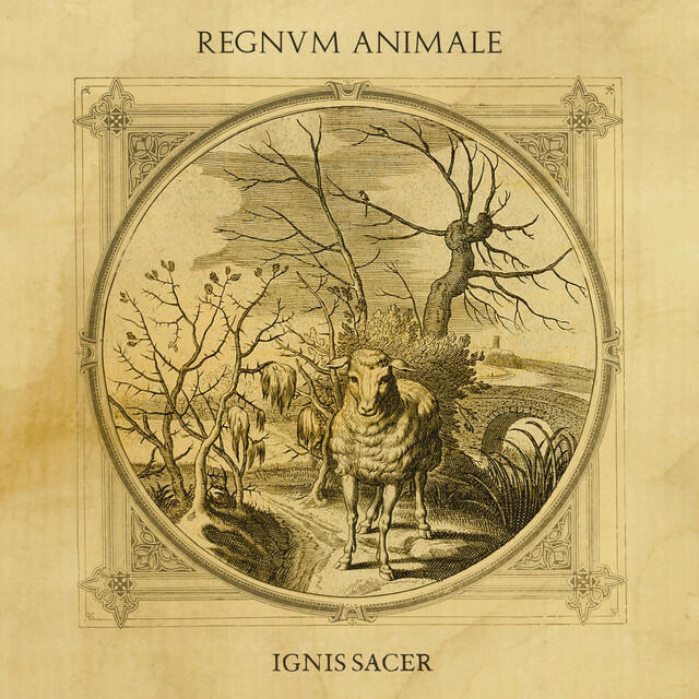 Regnvm Animale