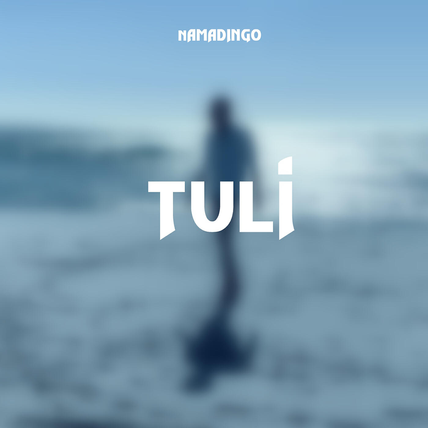 Релиз Tuli