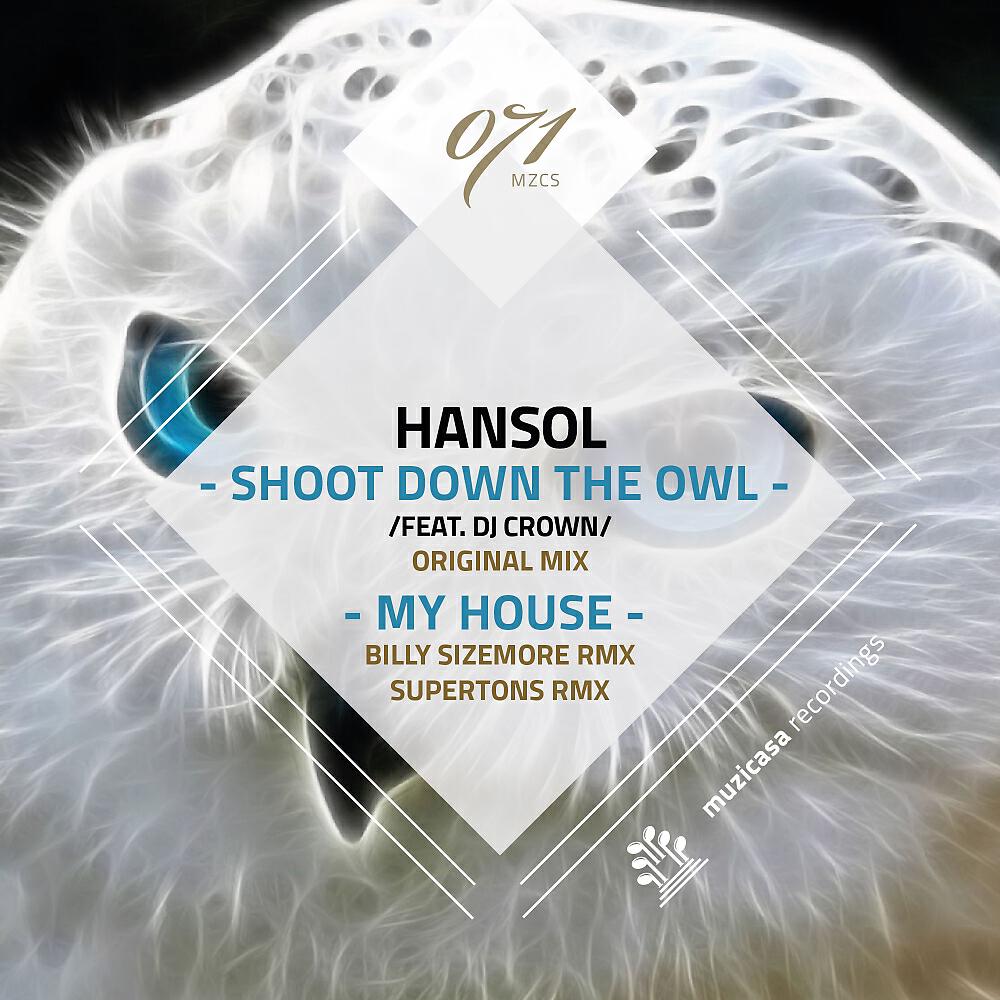 Скачать песню Hansol, Dj Crown - Shoot Down The Owl бесплатно в MP3 для Android и iOS