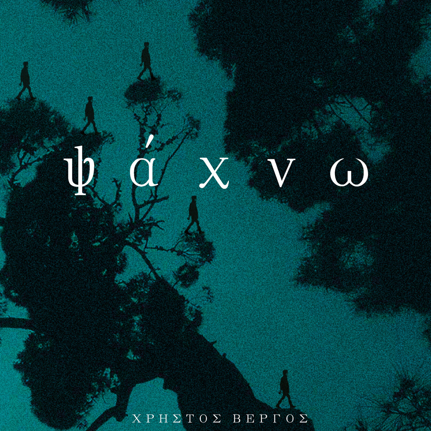Χρήστος Βέργος
