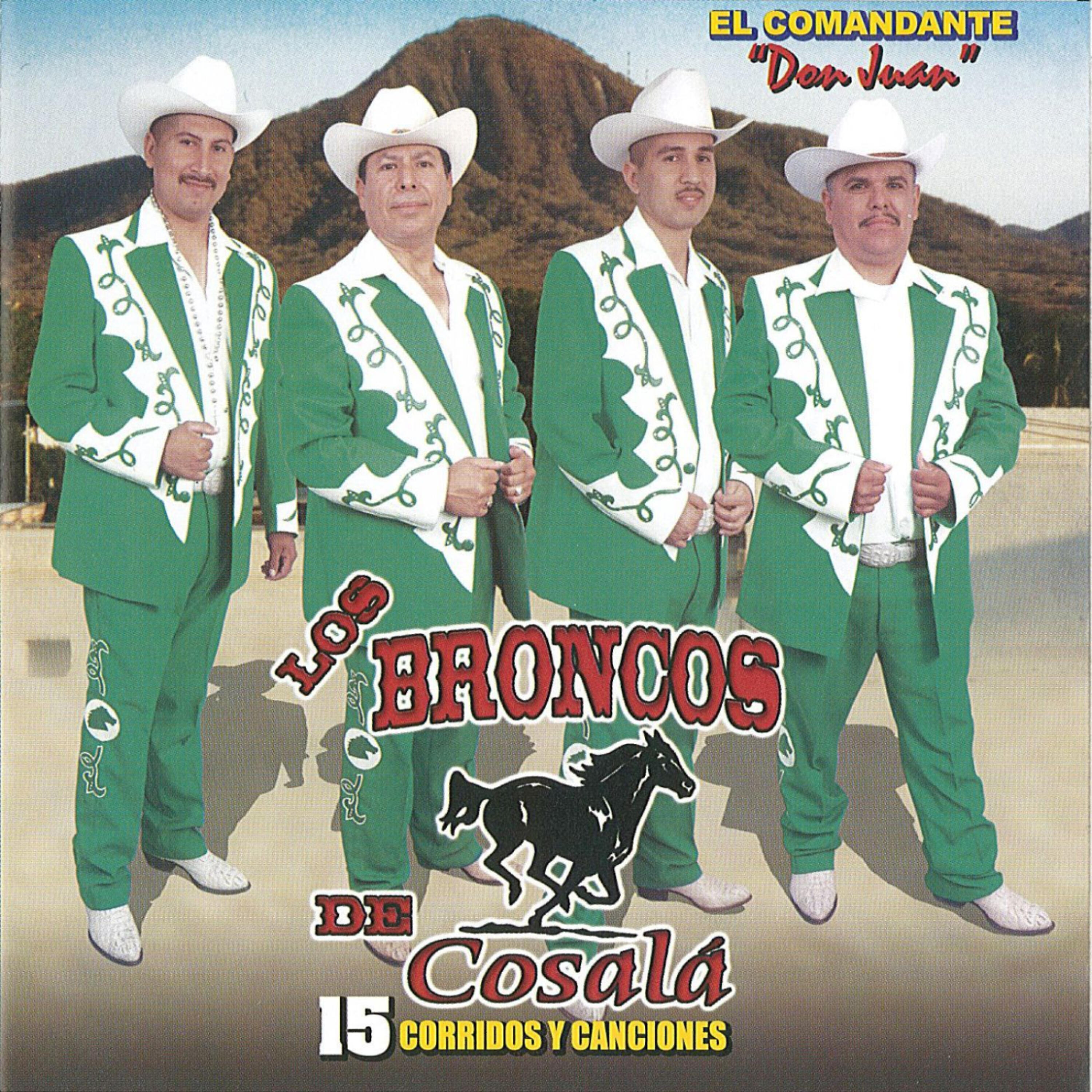 Релиз 15 Corridos Y Canciones