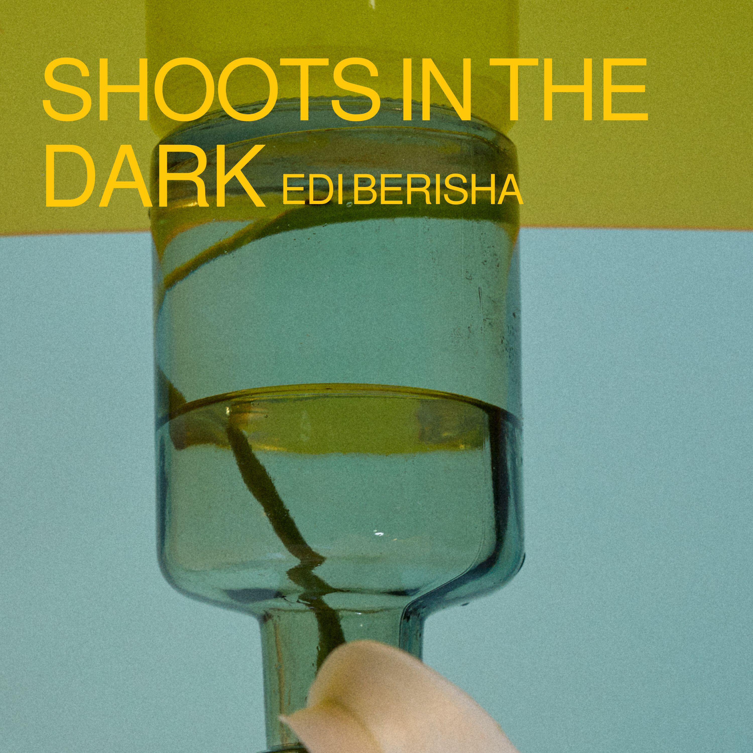 Релиз Shoots in the dark