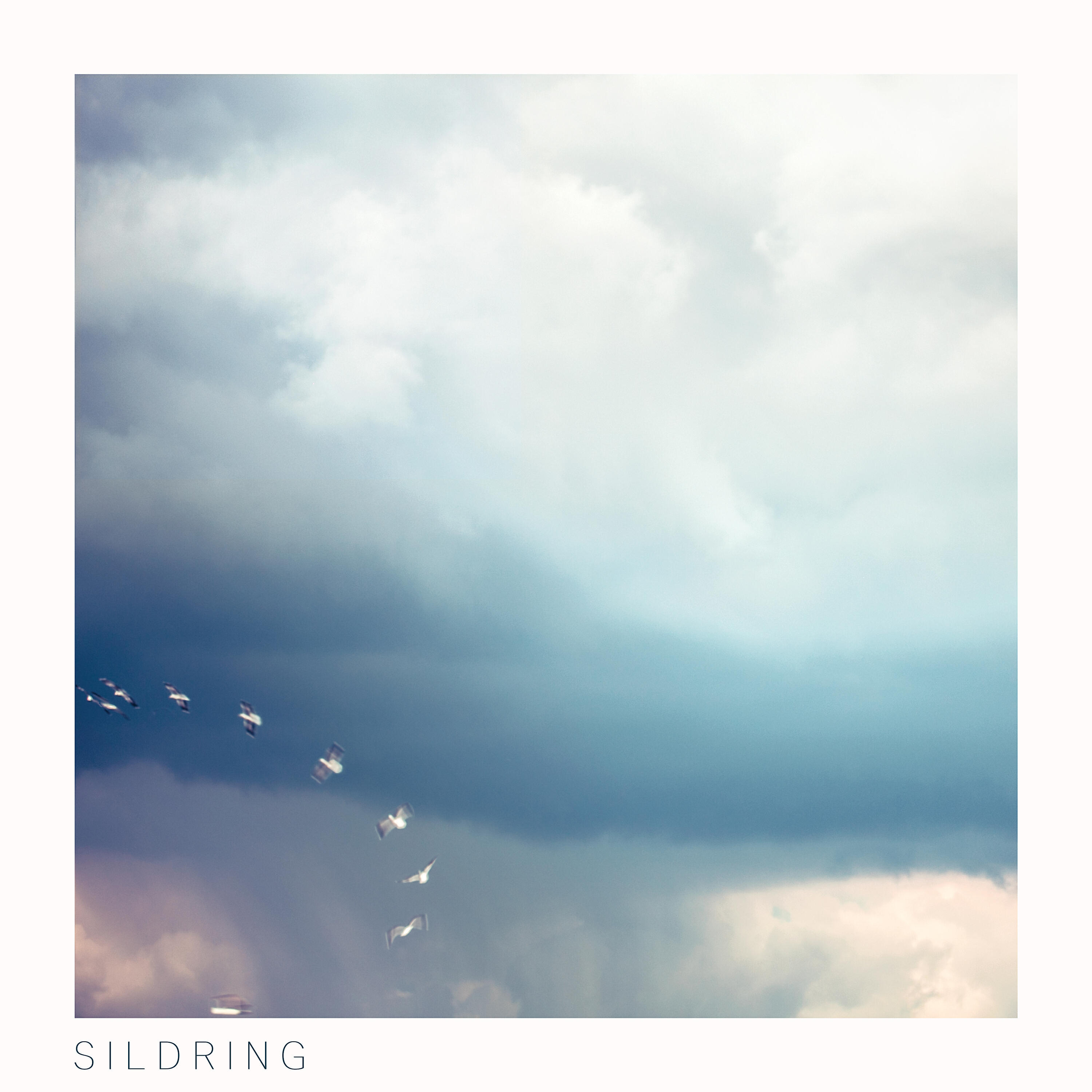 Релиз ENE Sildring