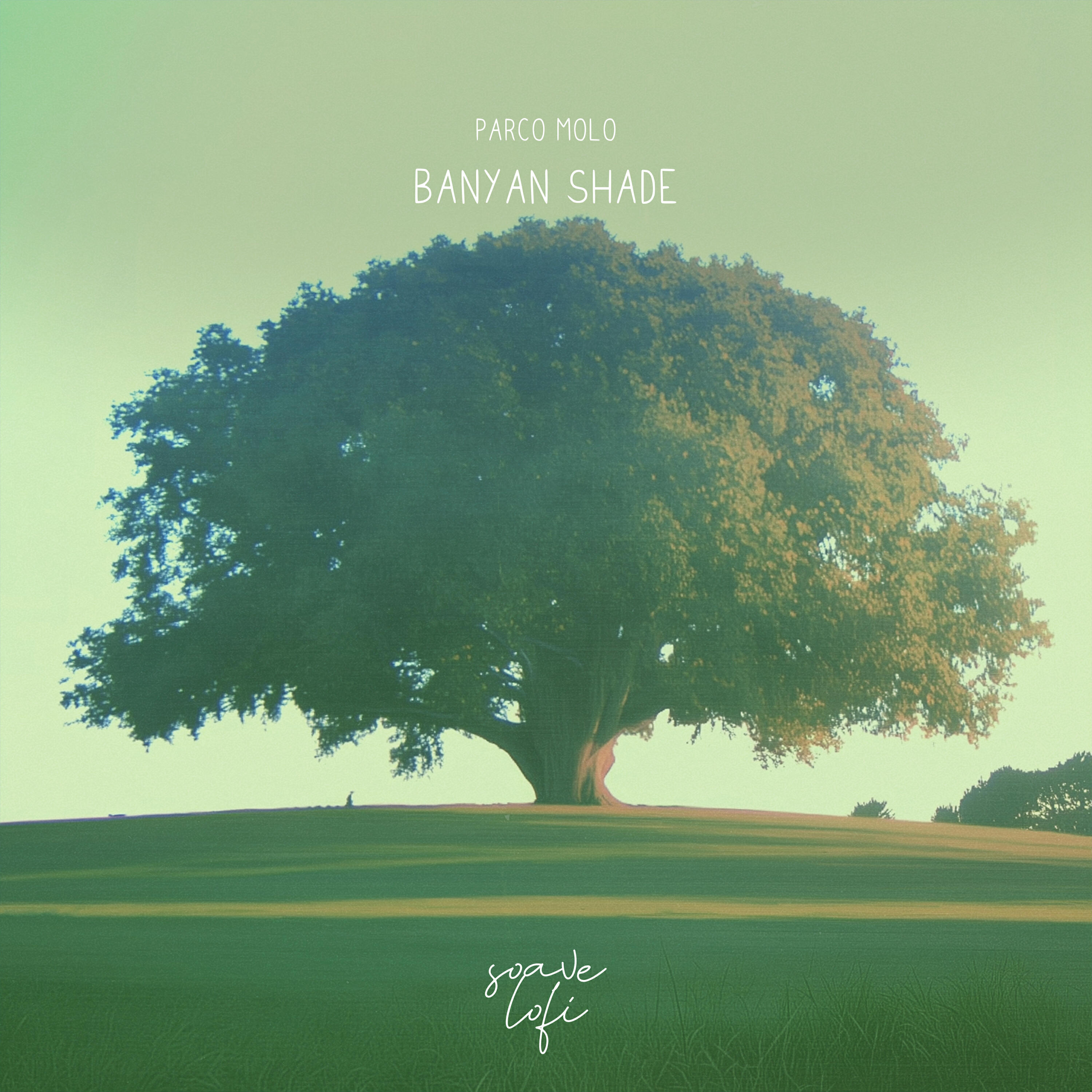 Релиз Banyan Shade