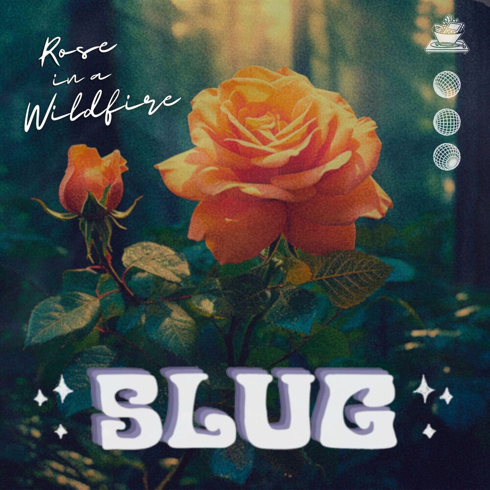 Релиз Rose in a Wildfire