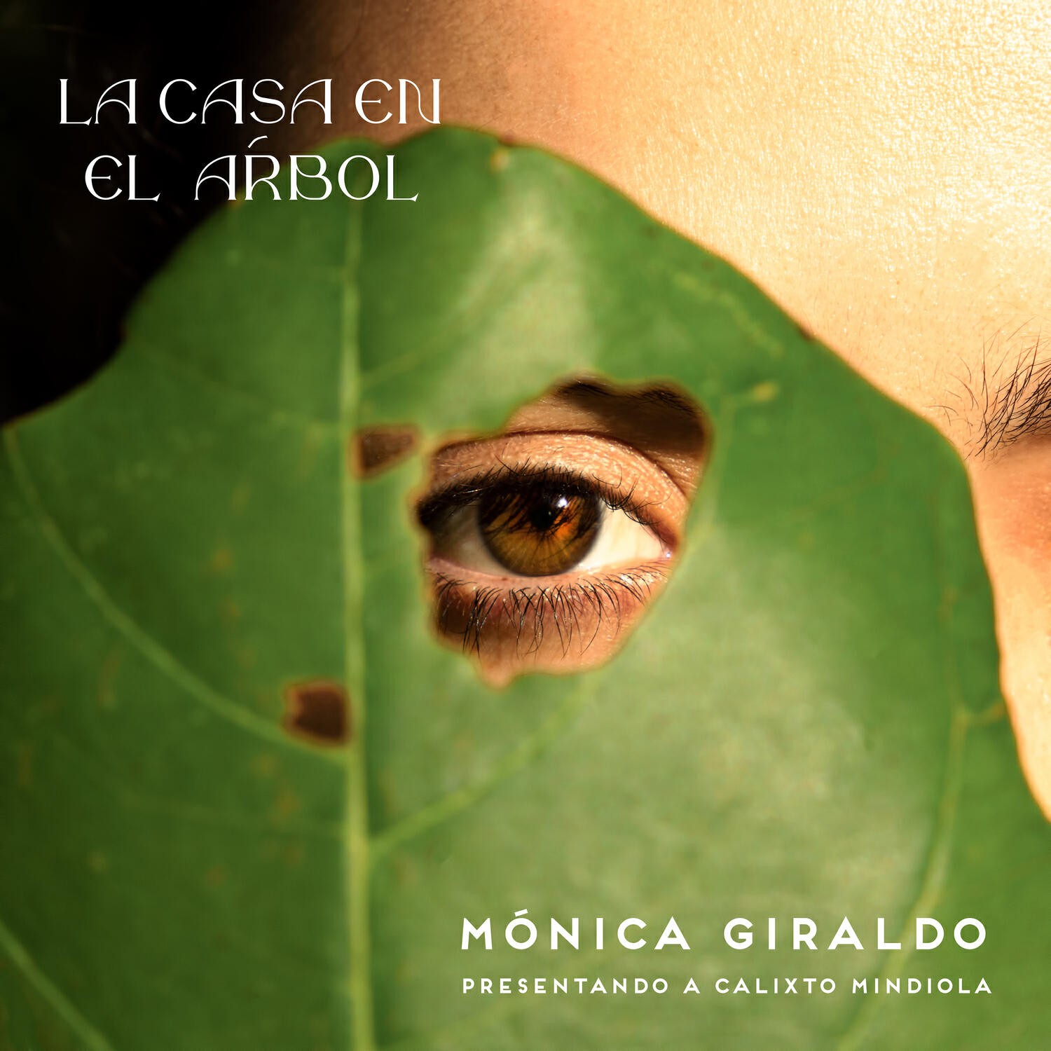 Релиз La casa en el árbol
