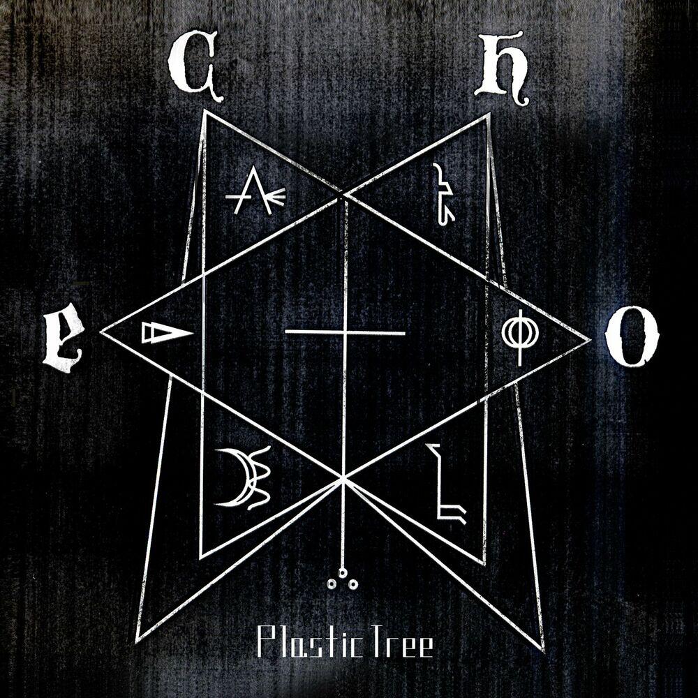 Релиз echo