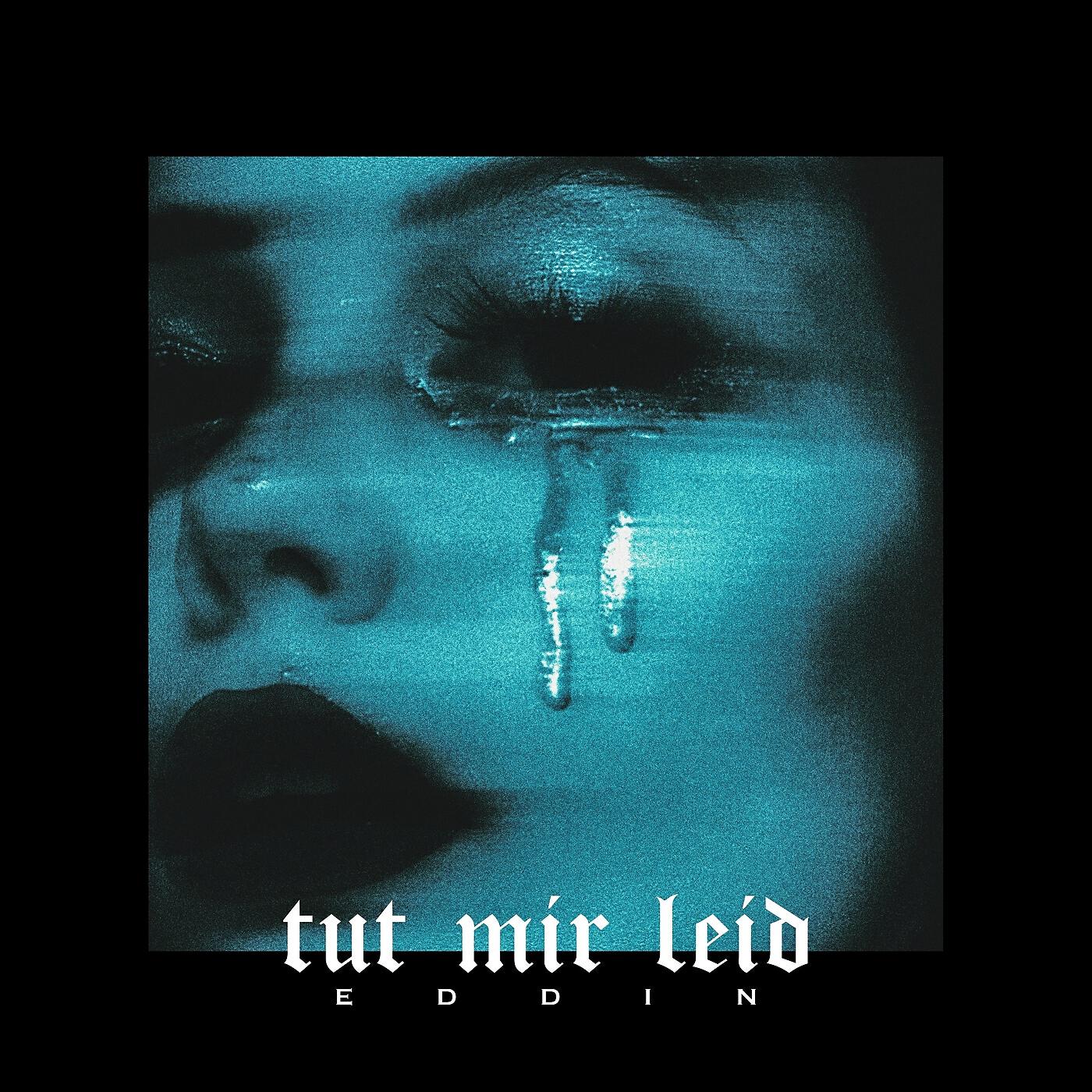 Постер альбома Tut mir Leid