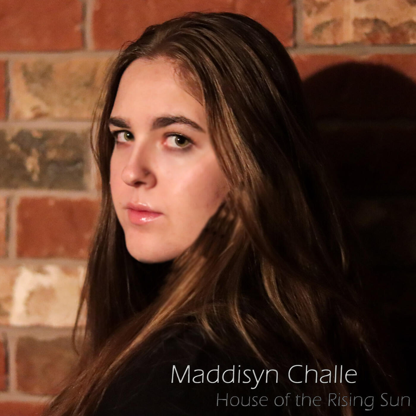 Релиз House of the Rising Sun (Cover)