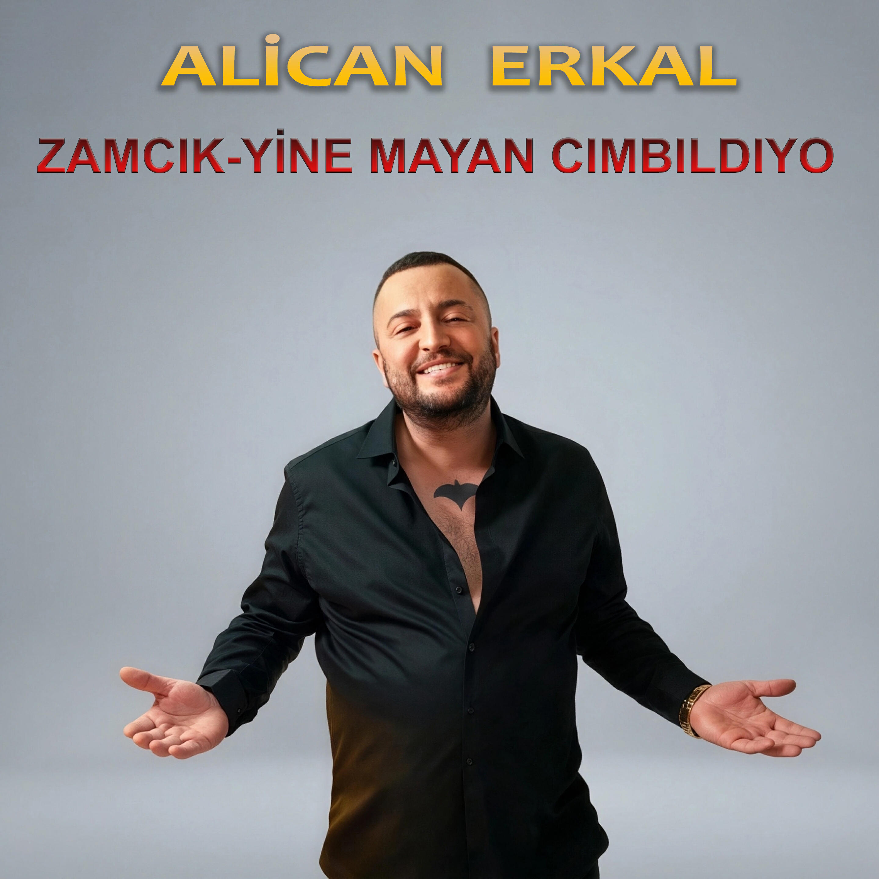 Alican Erkal
