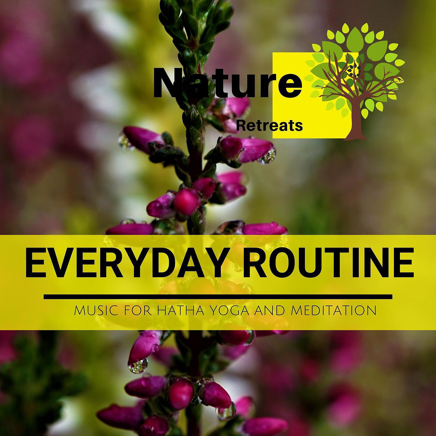Релиз Everyday Routine - Music for Hatha Yoga and Meditation