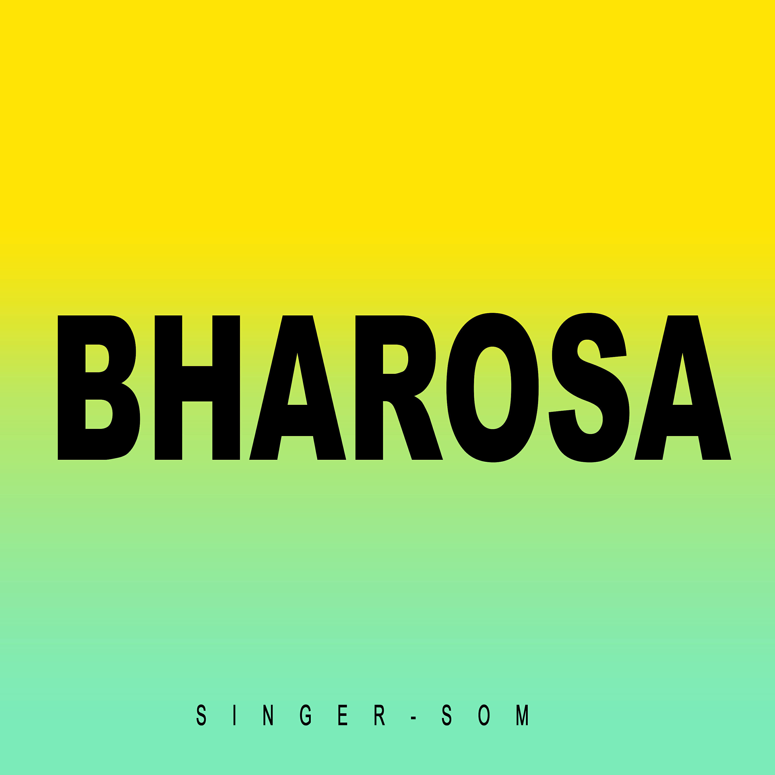 Релиз Bharosa
