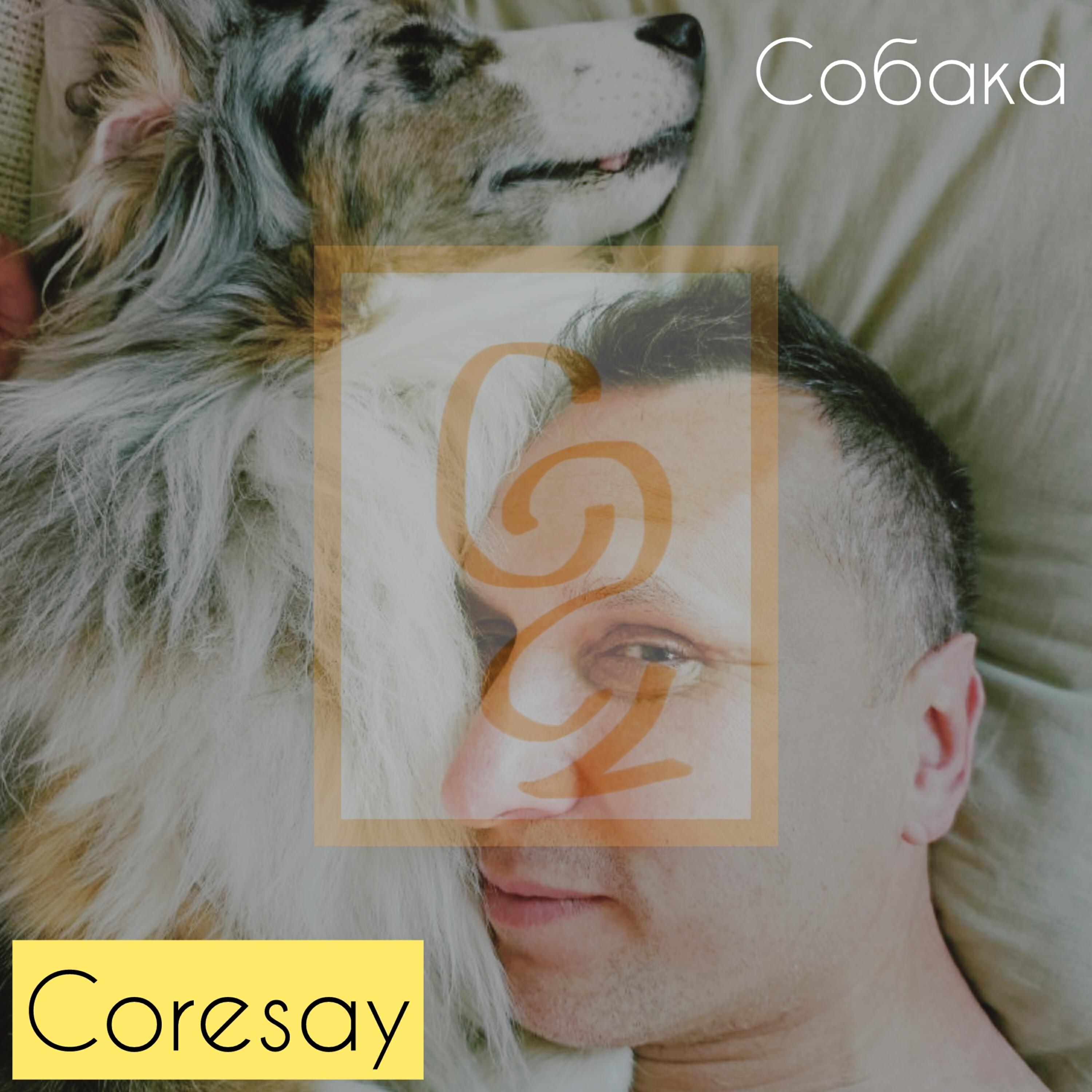 Релиз Собака