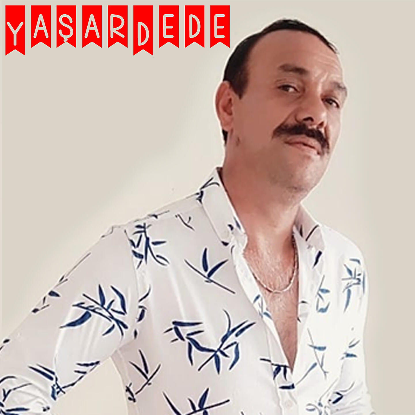Релиз Altıyol Gaydası