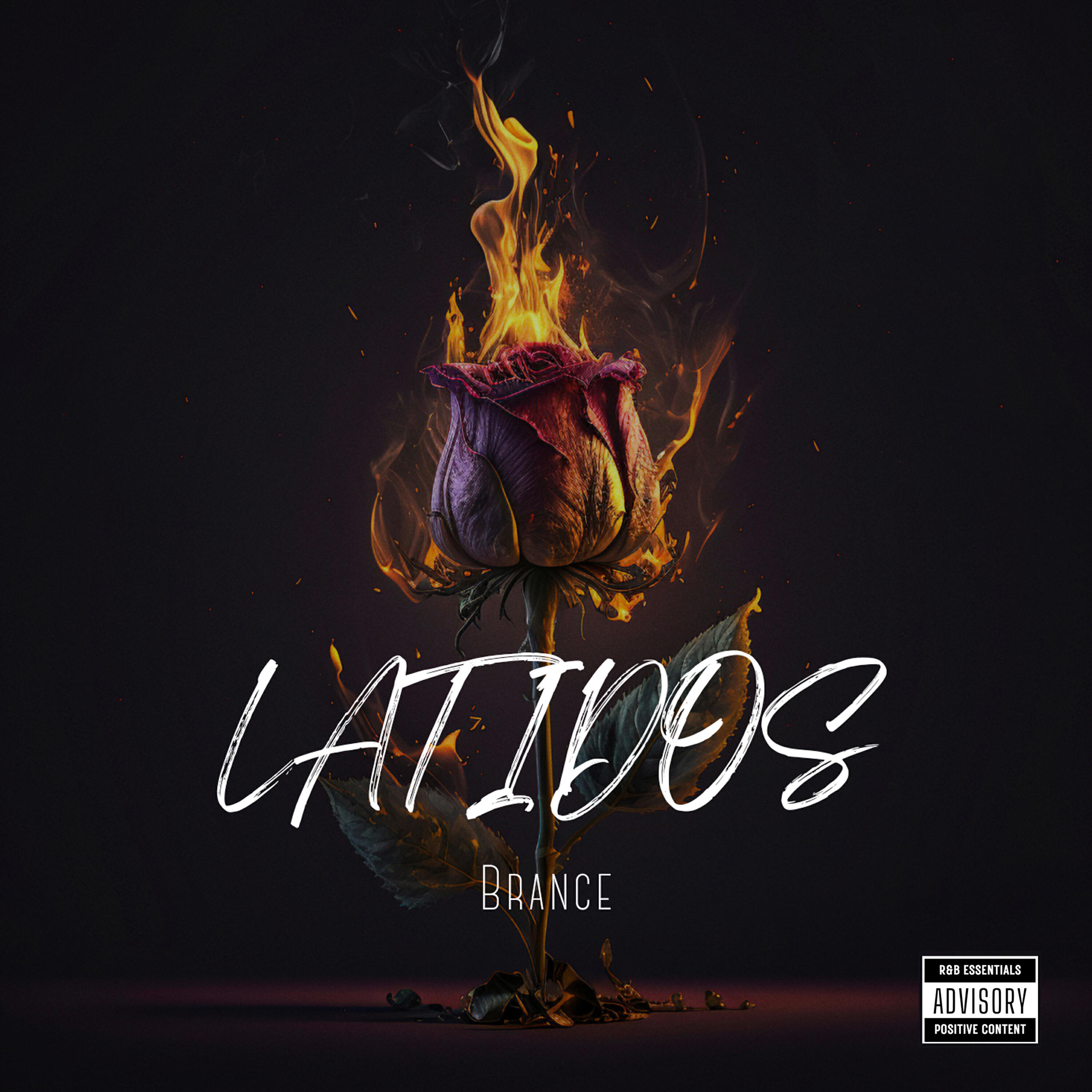 Релиз Latidos