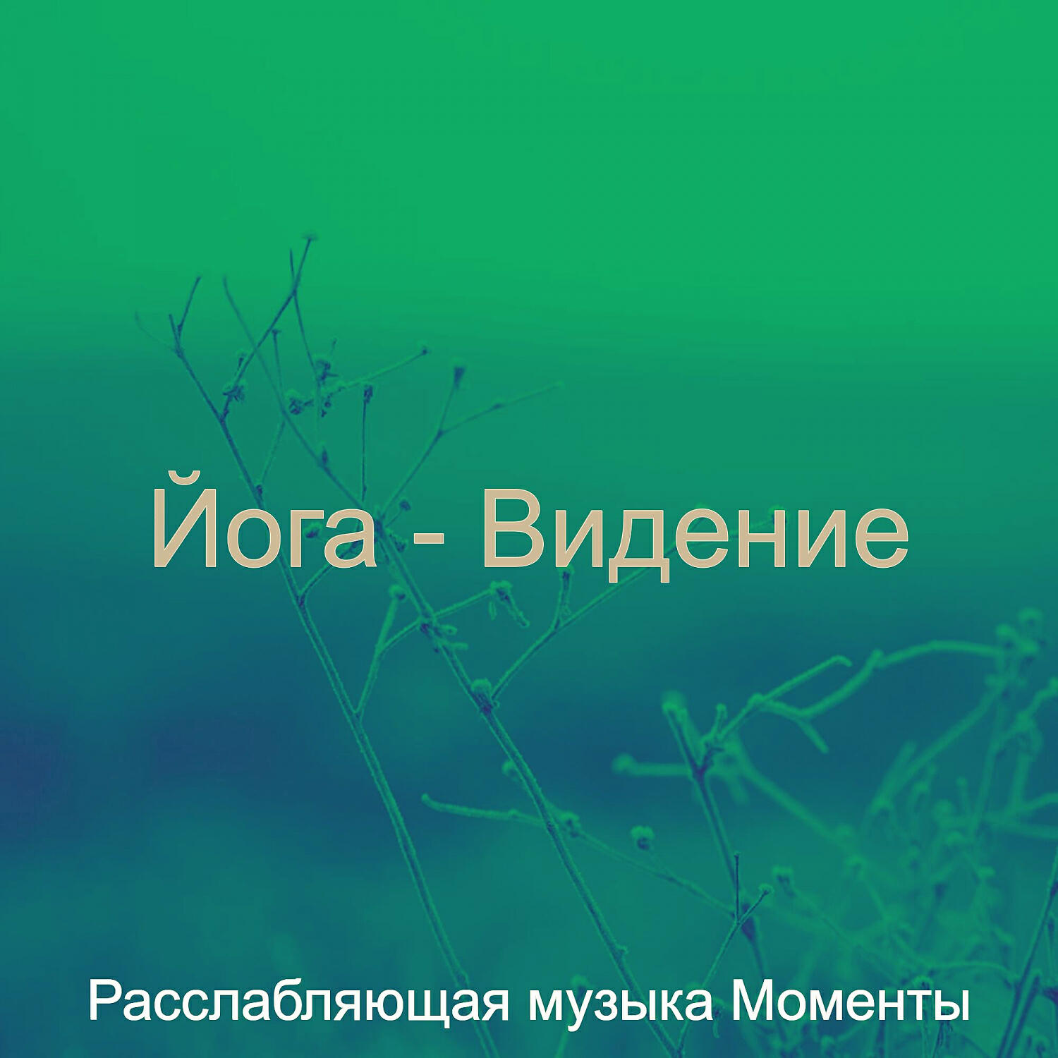 Релиз Йога - Видение